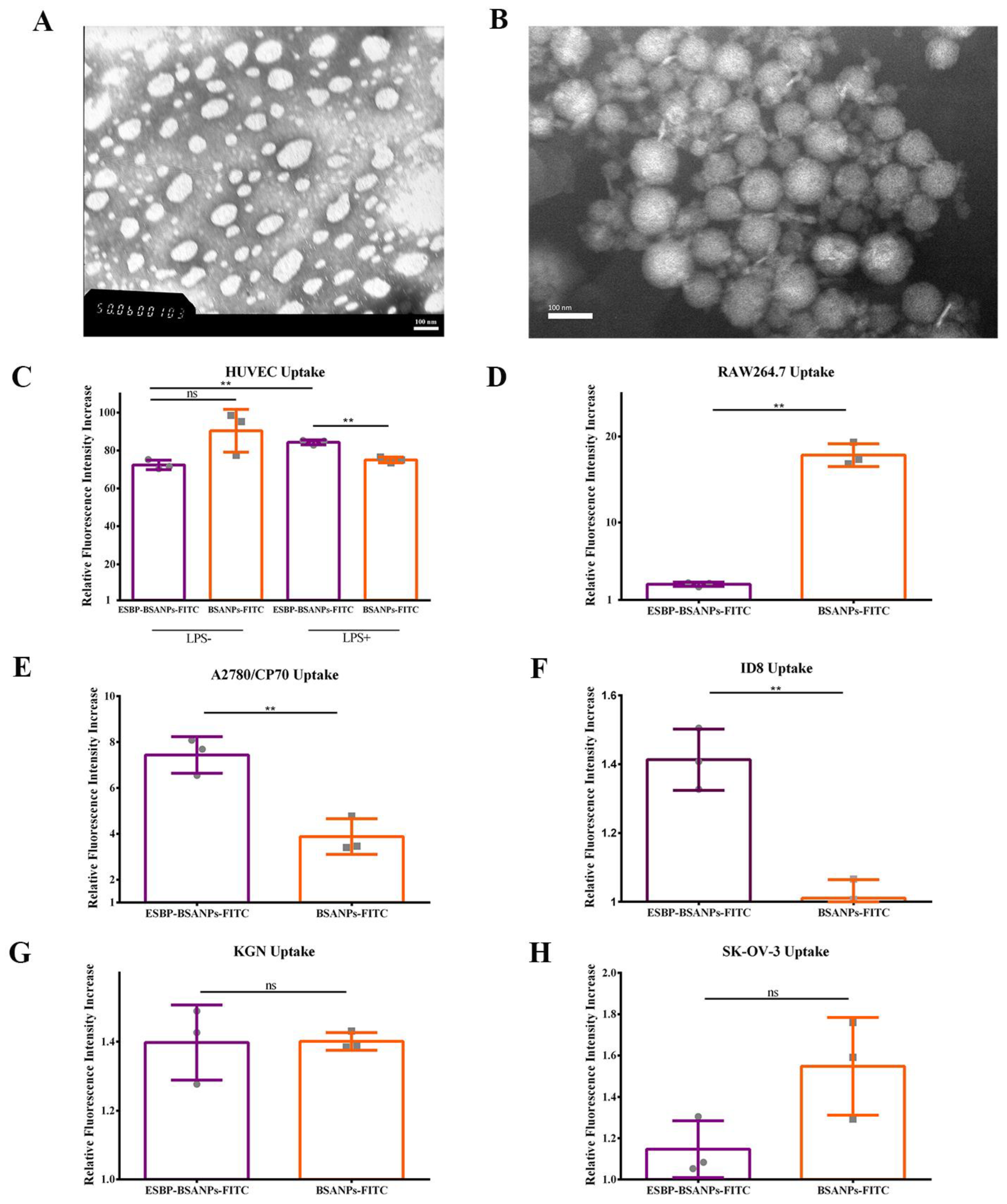 Cancers 15 02136 g001 Cancers 15 02136 g001