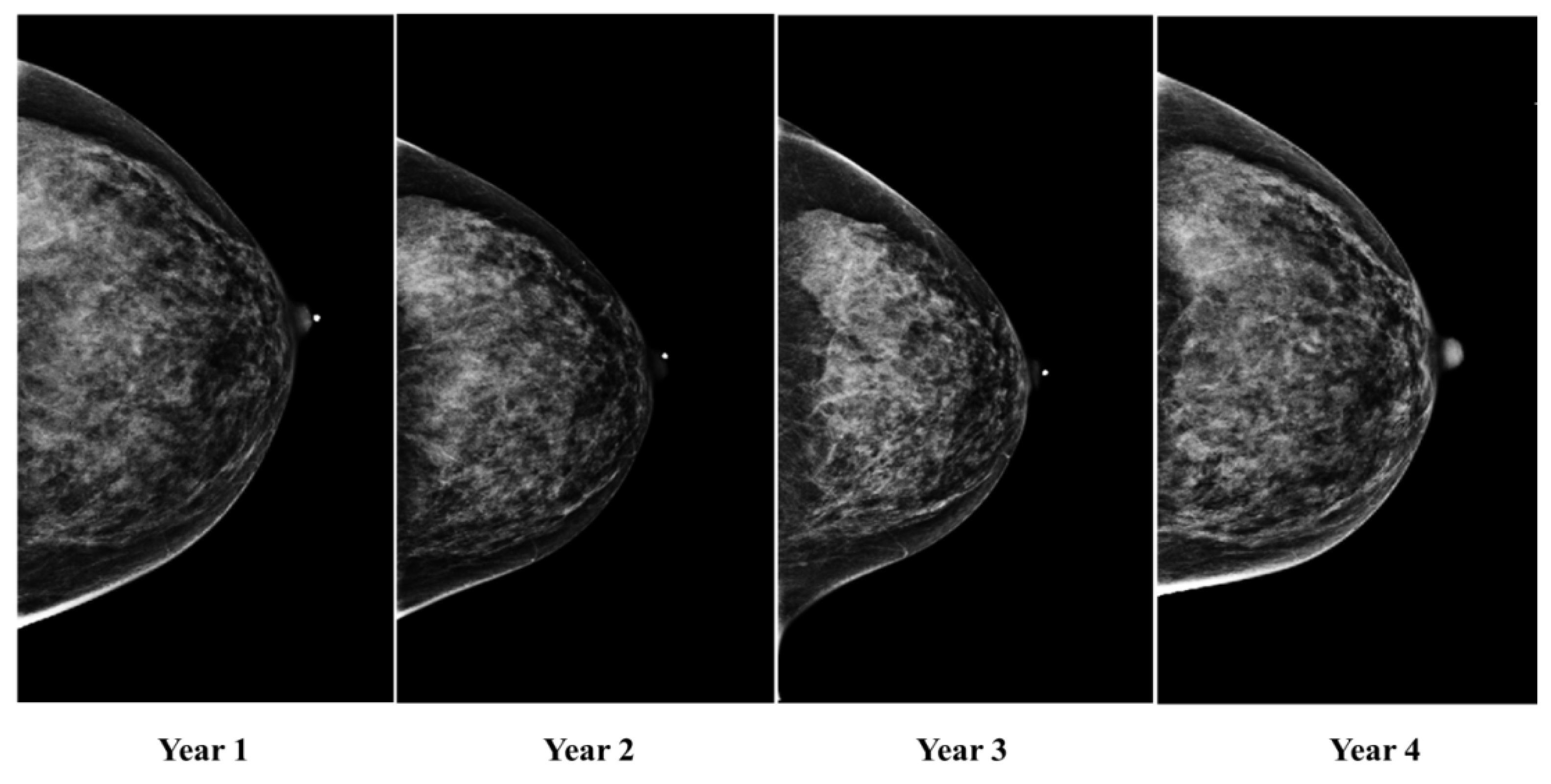 Cancers 15 02141 g002