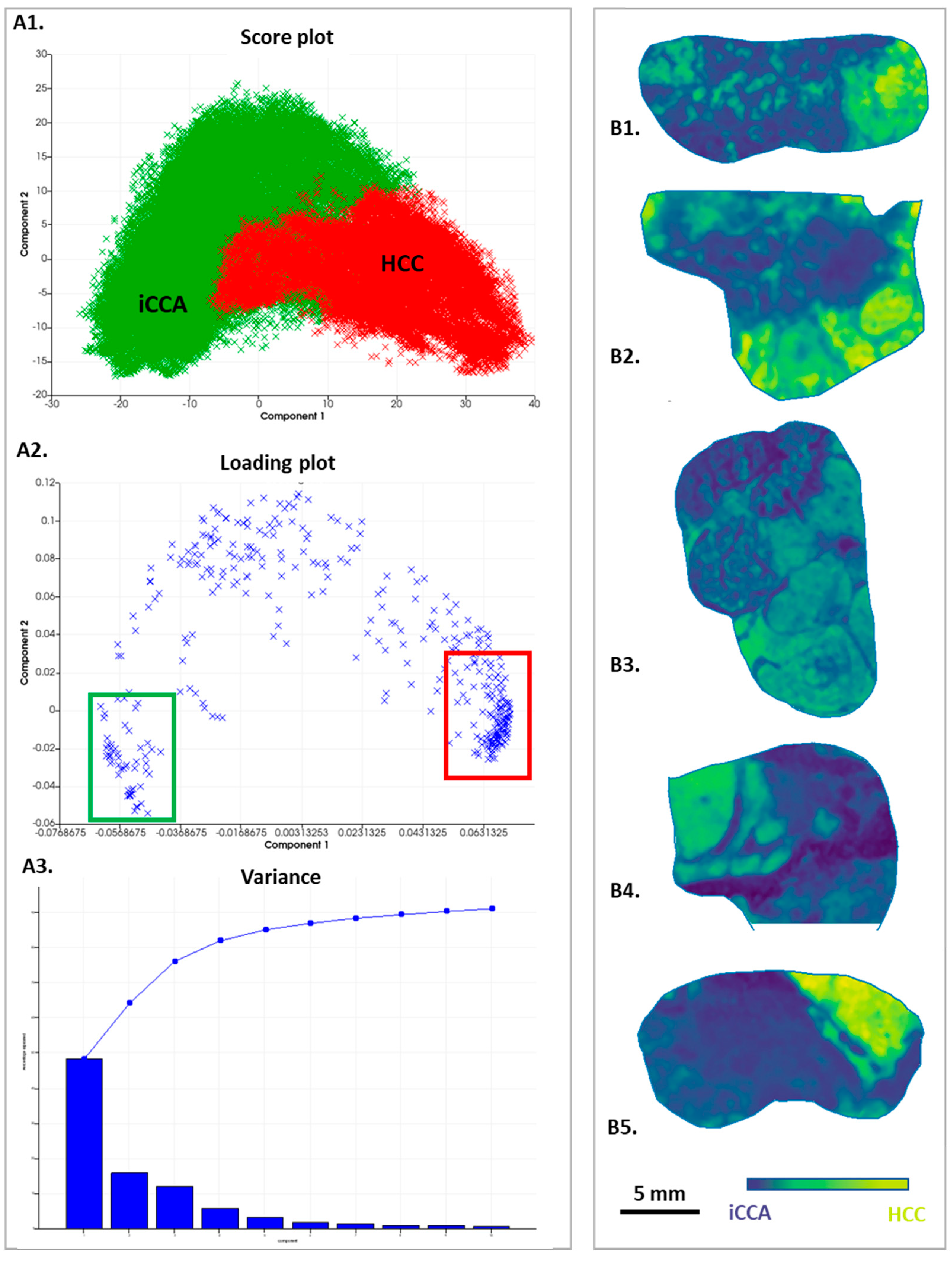 Cancers 15 02143 g003 Cancers 15 02143 g003