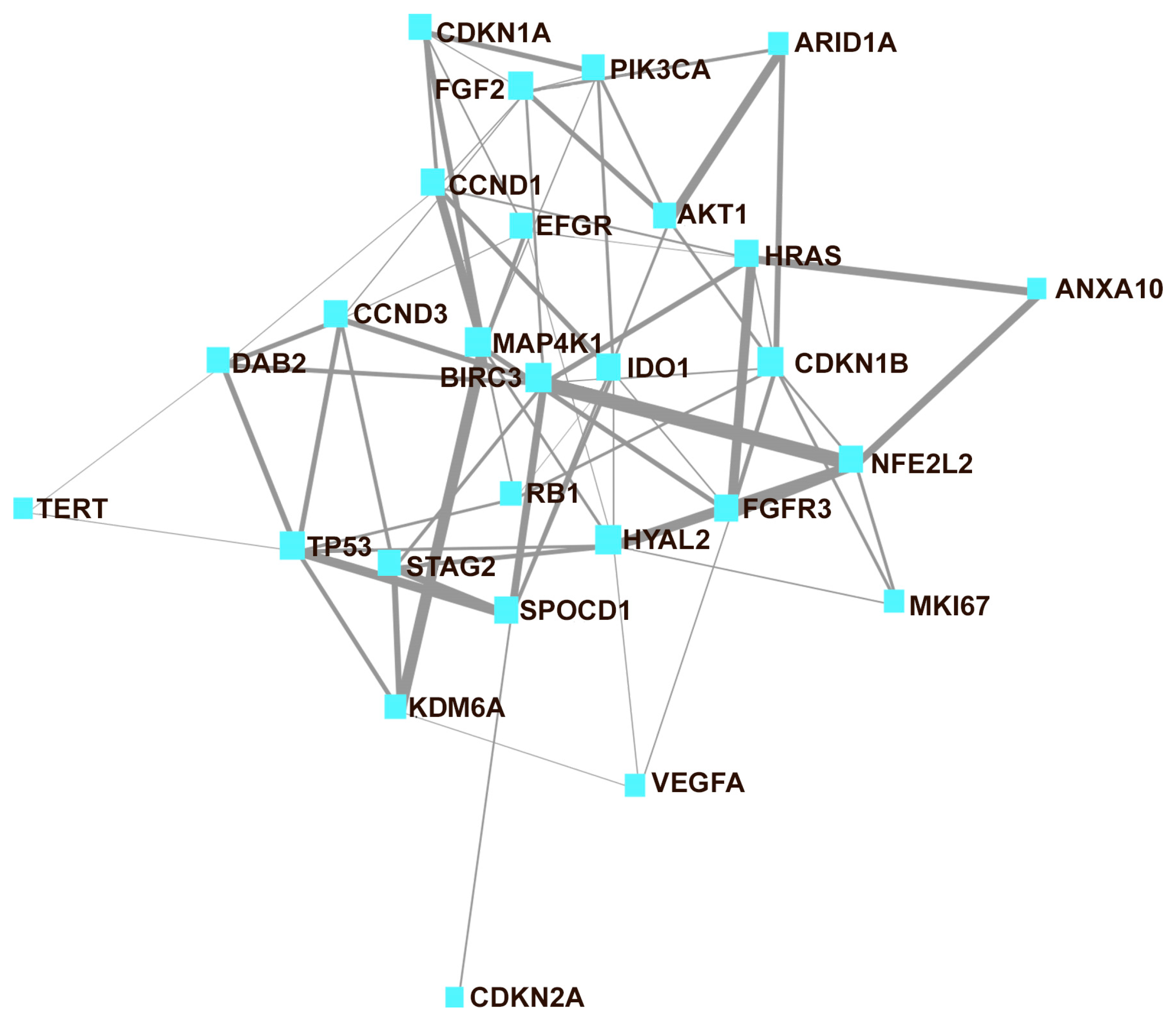 Cancers 15 02149 g001 Cancers 15 02149 g001