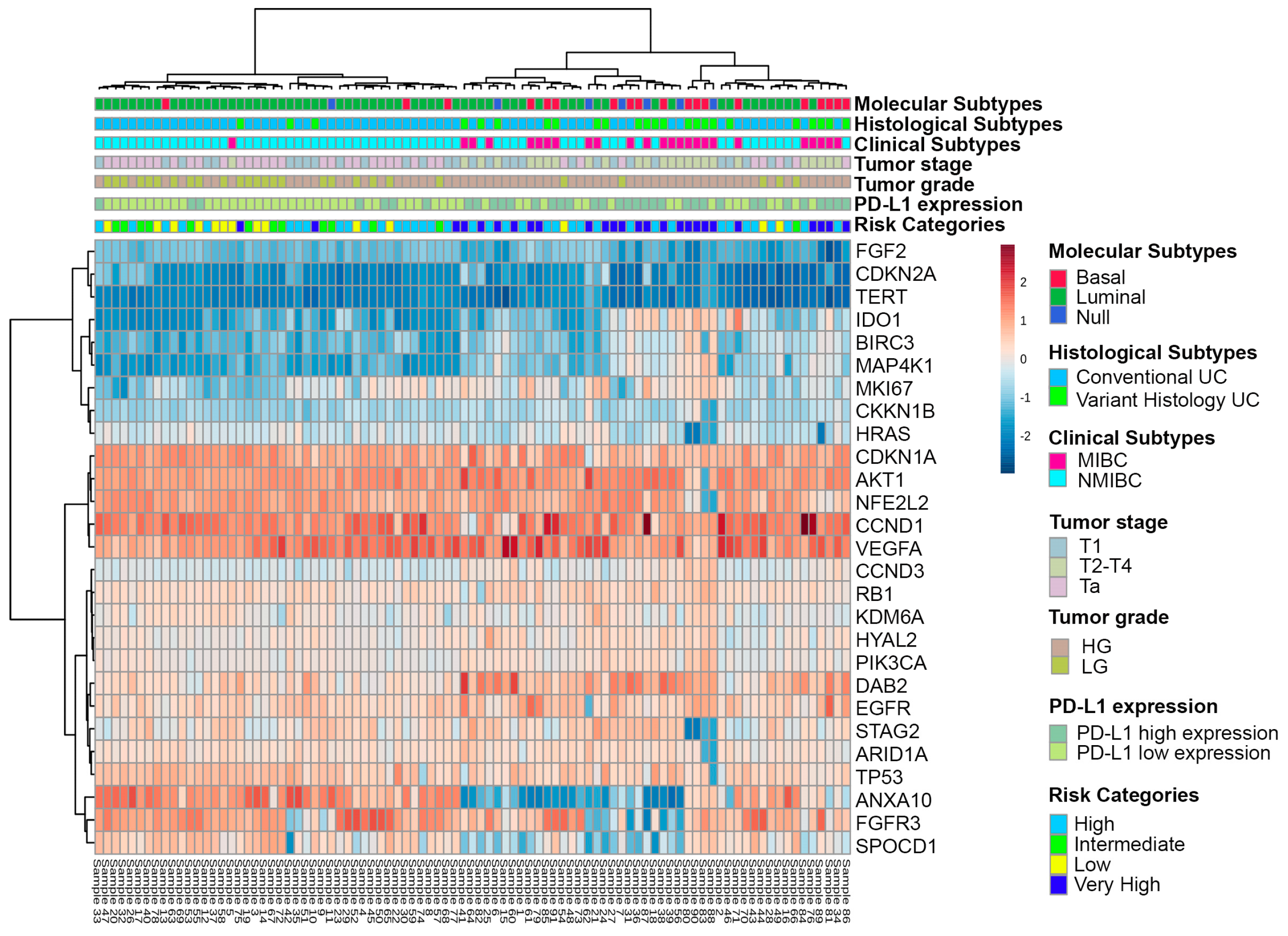 Cancers 15 02149 g002 Cancers 15 02149 g002