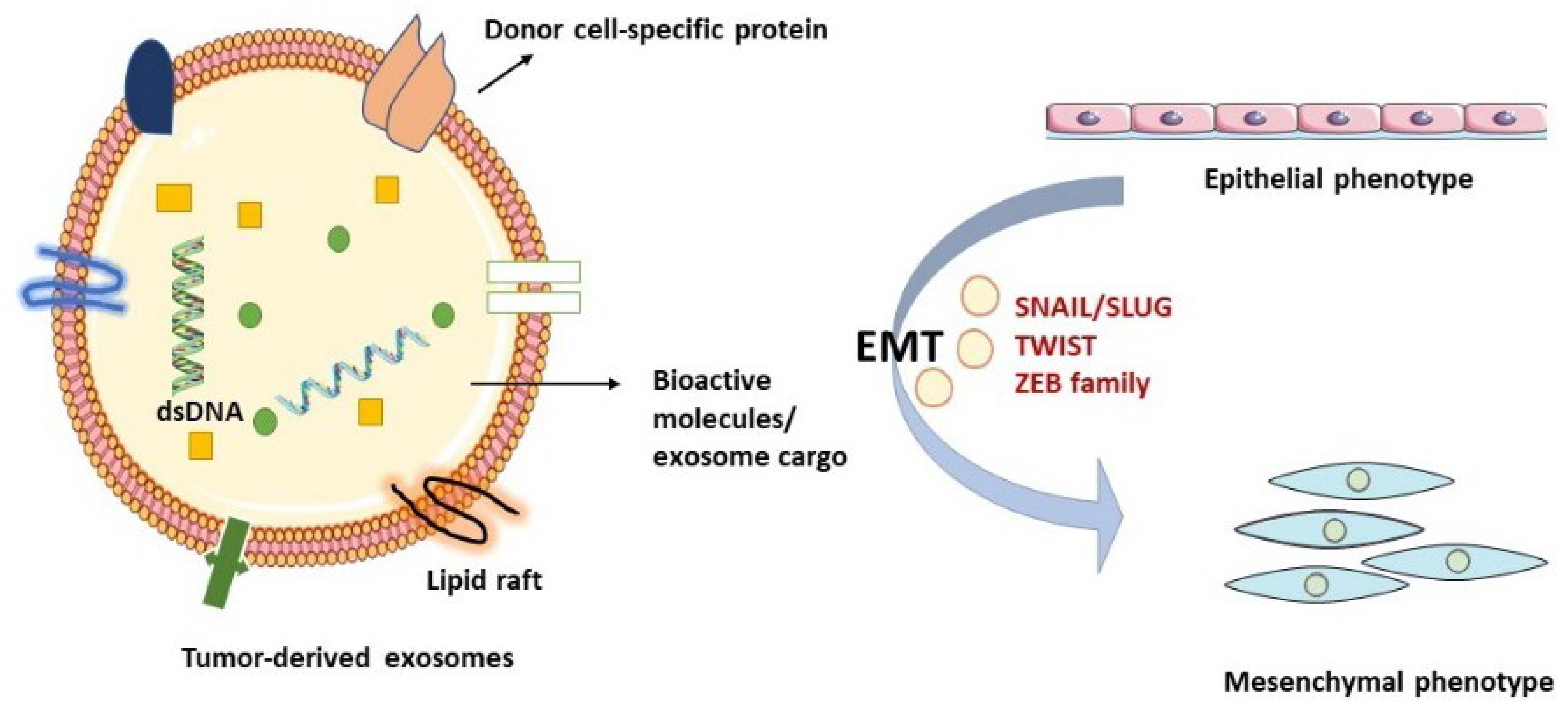 Cancers 15 02156 g002