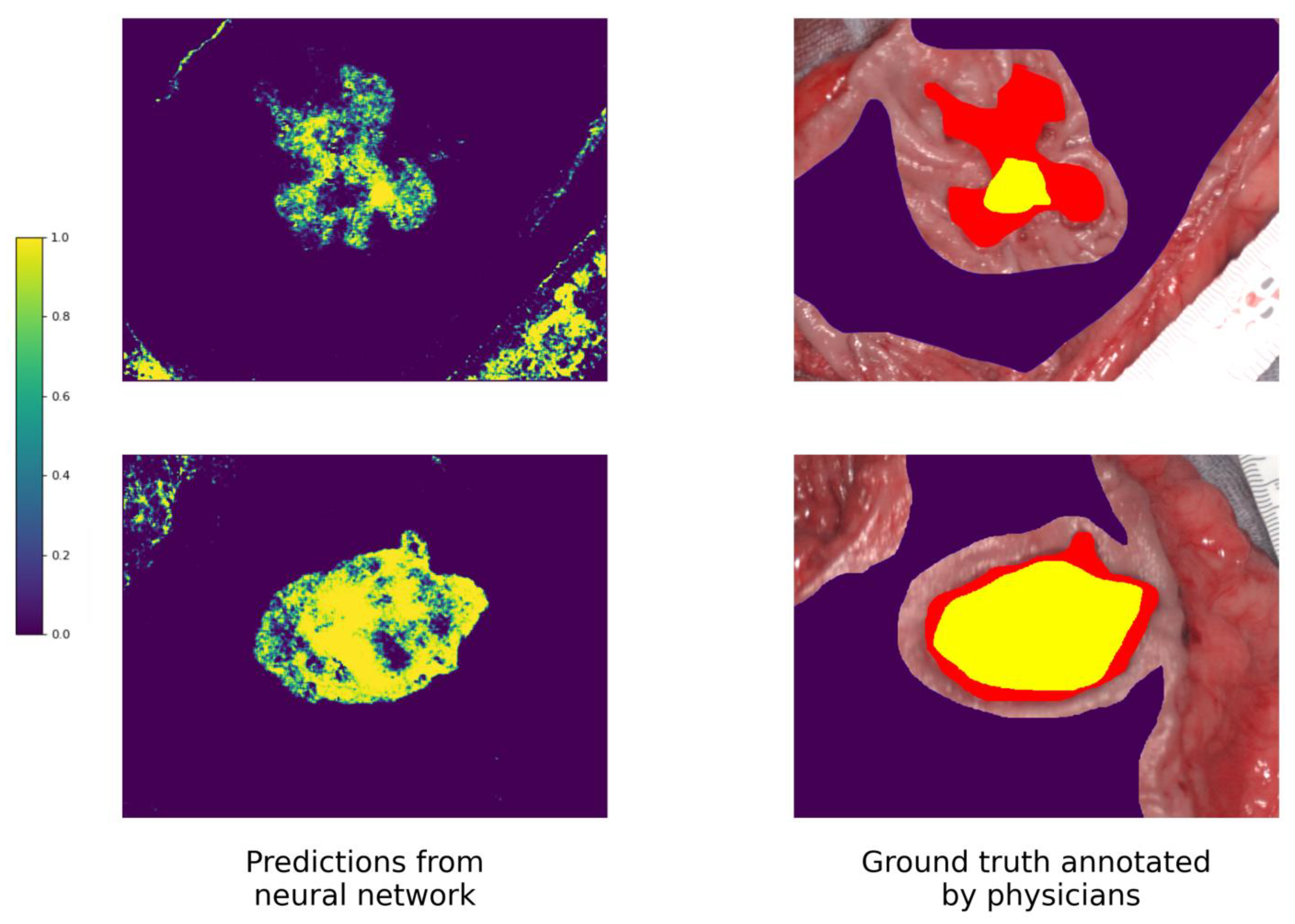Cancers 15 02157 g007 Cancers 15 02157 g007