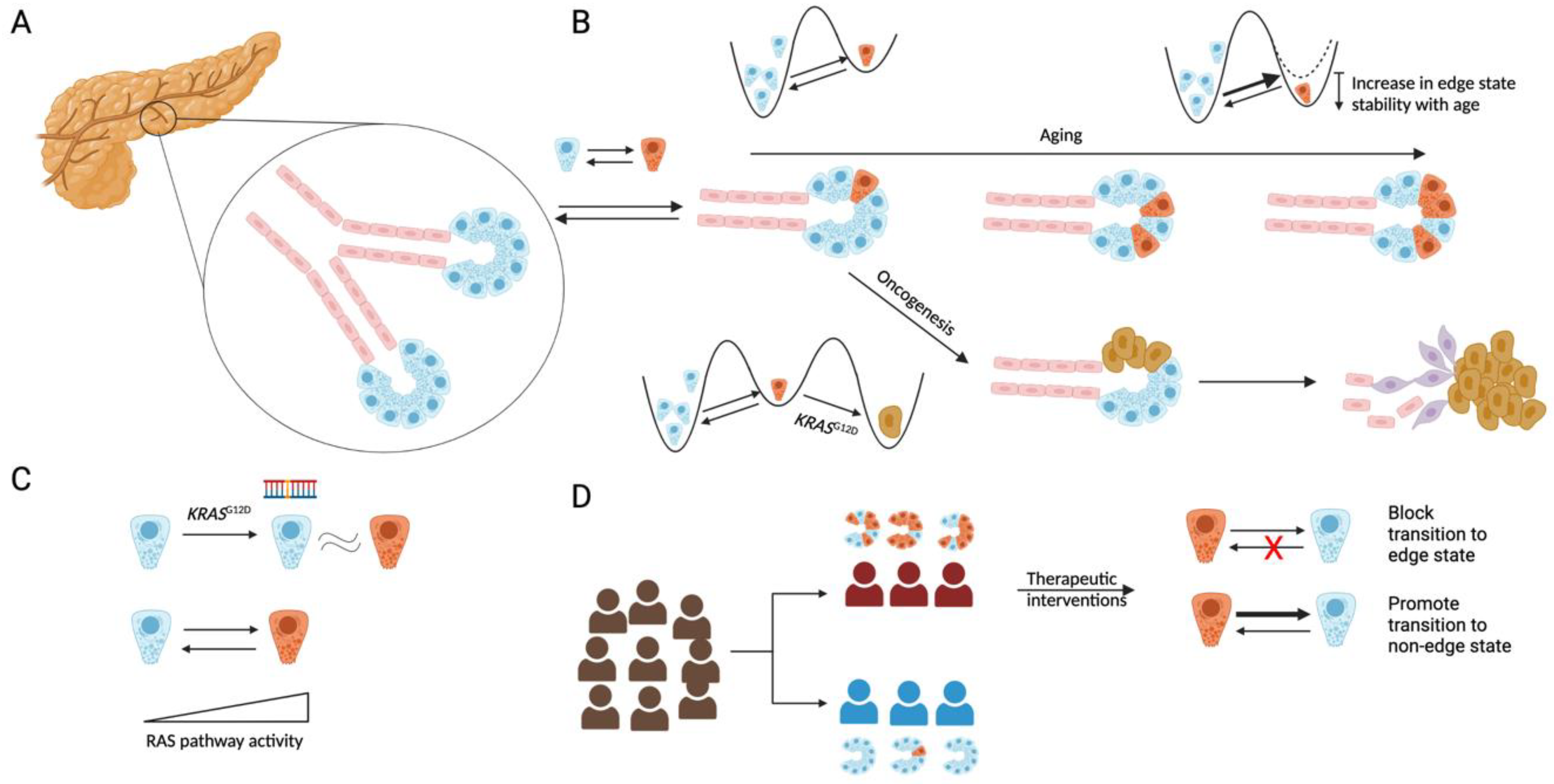 Cancers 15 02159 g001