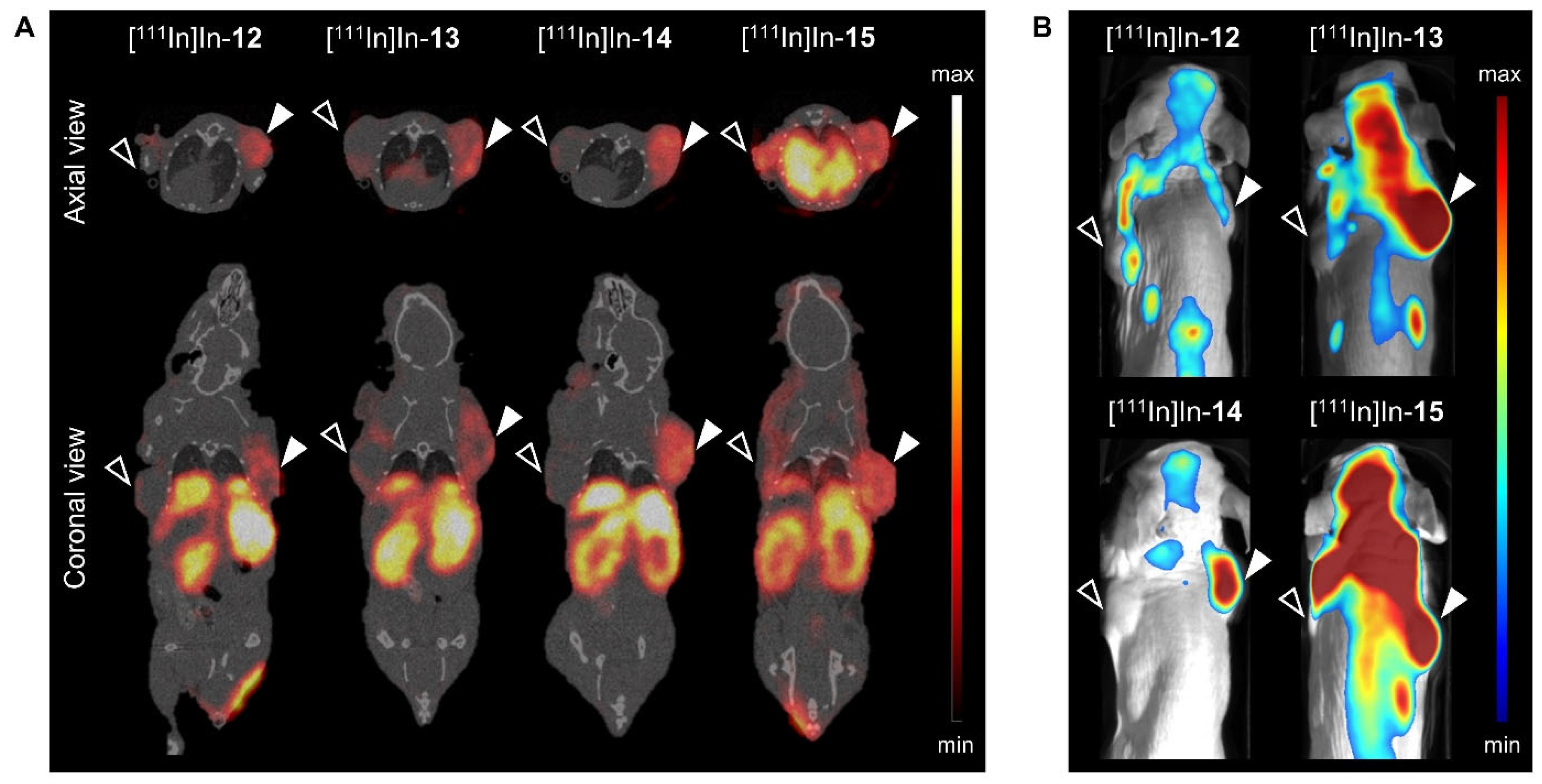 Cancers 15 02161 g003 Cancers 15 02161 g003