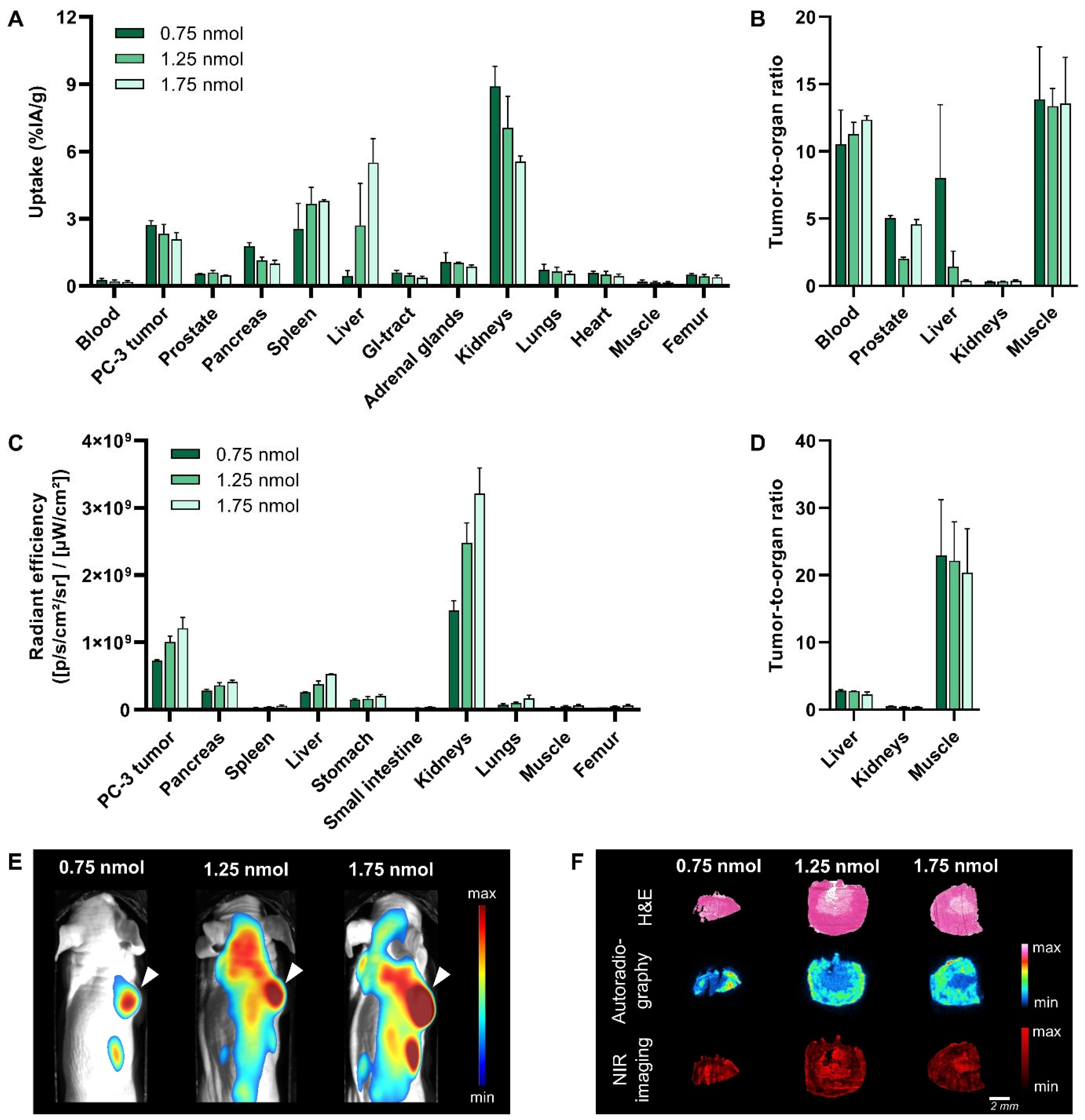 Cancers 15 02161 g004 Cancers 15 02161 g004