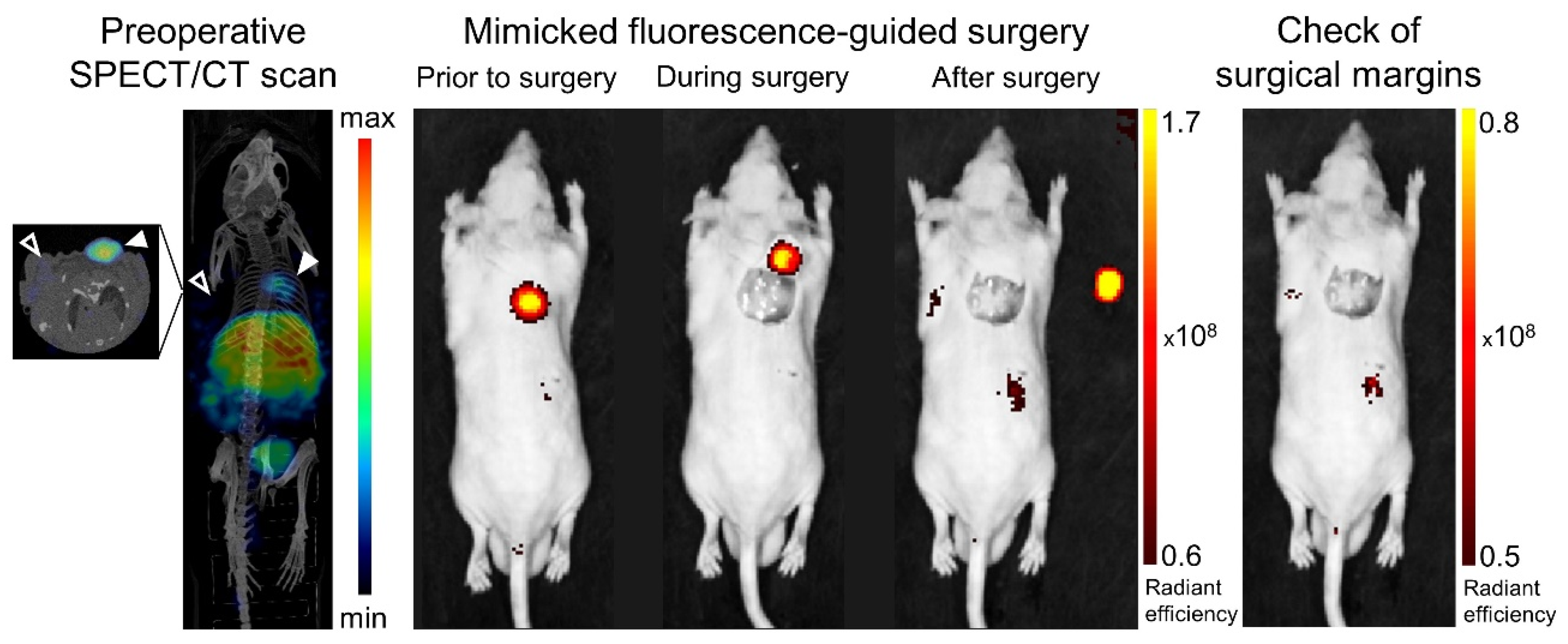 Cancers 15 02161 g005 Cancers 15 02161 g005