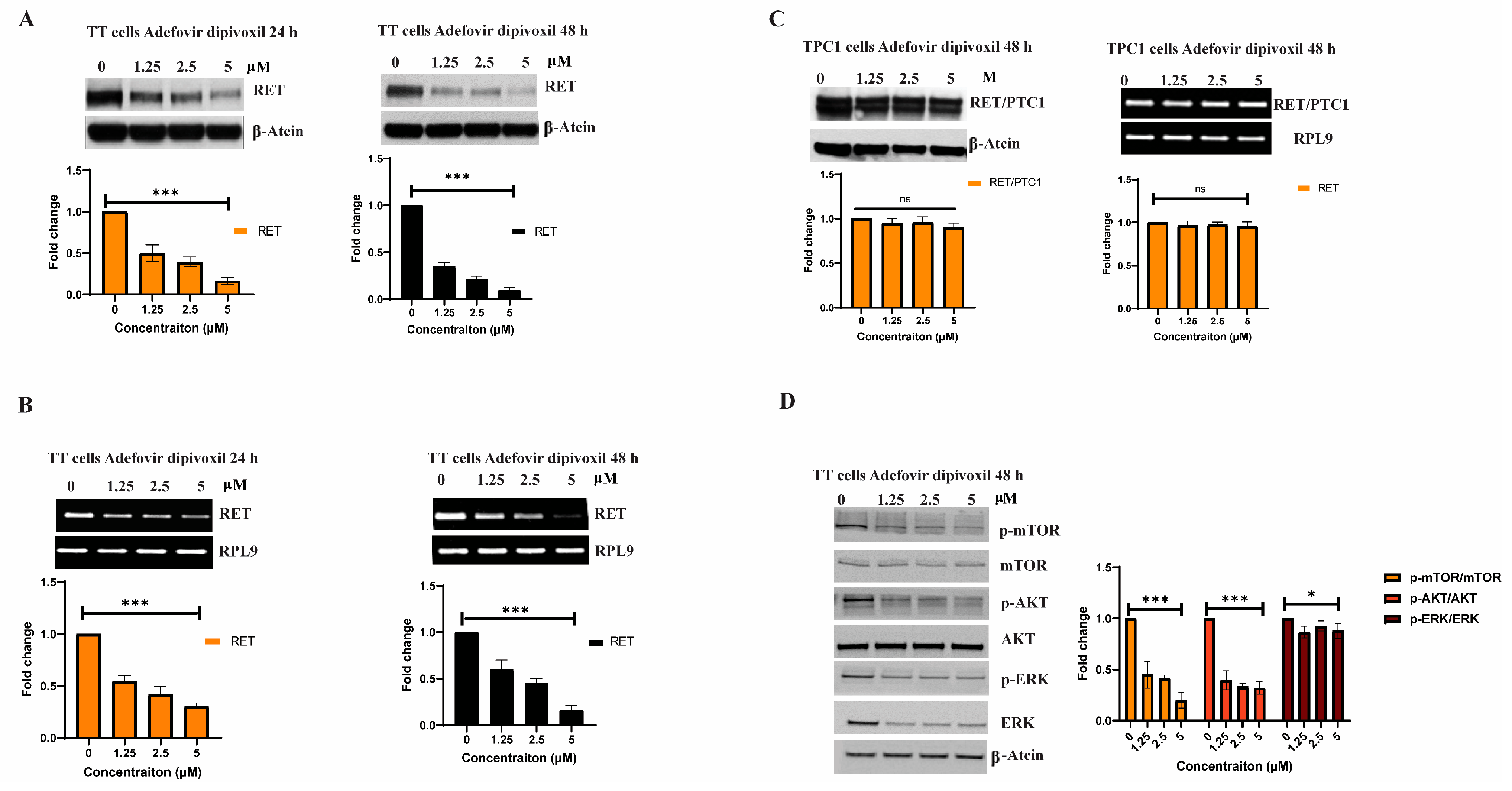 Cancers 15 02163 g002 Cancers 15 02163 g002