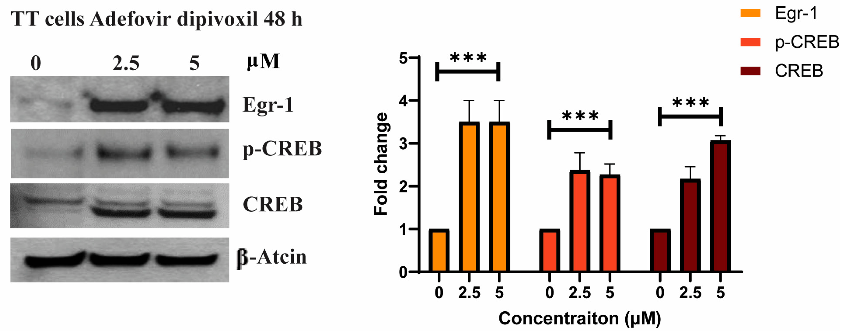 Cancers 15 02163 g004 Cancers 15 02163 g004