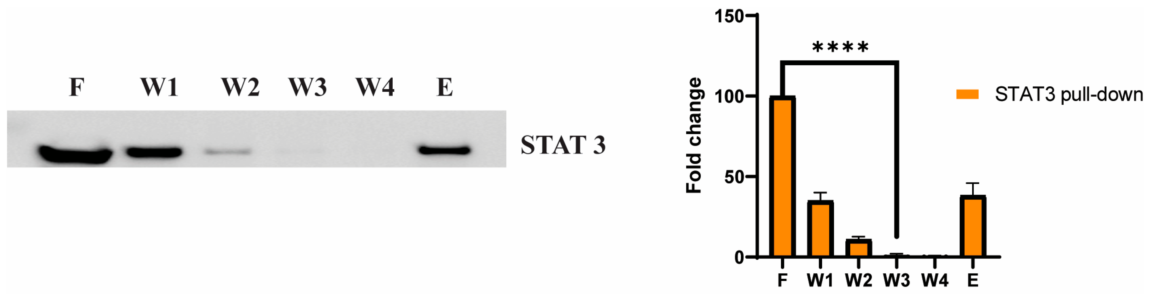 Cancers 15 02163 g006 Cancers 15 02163 g006