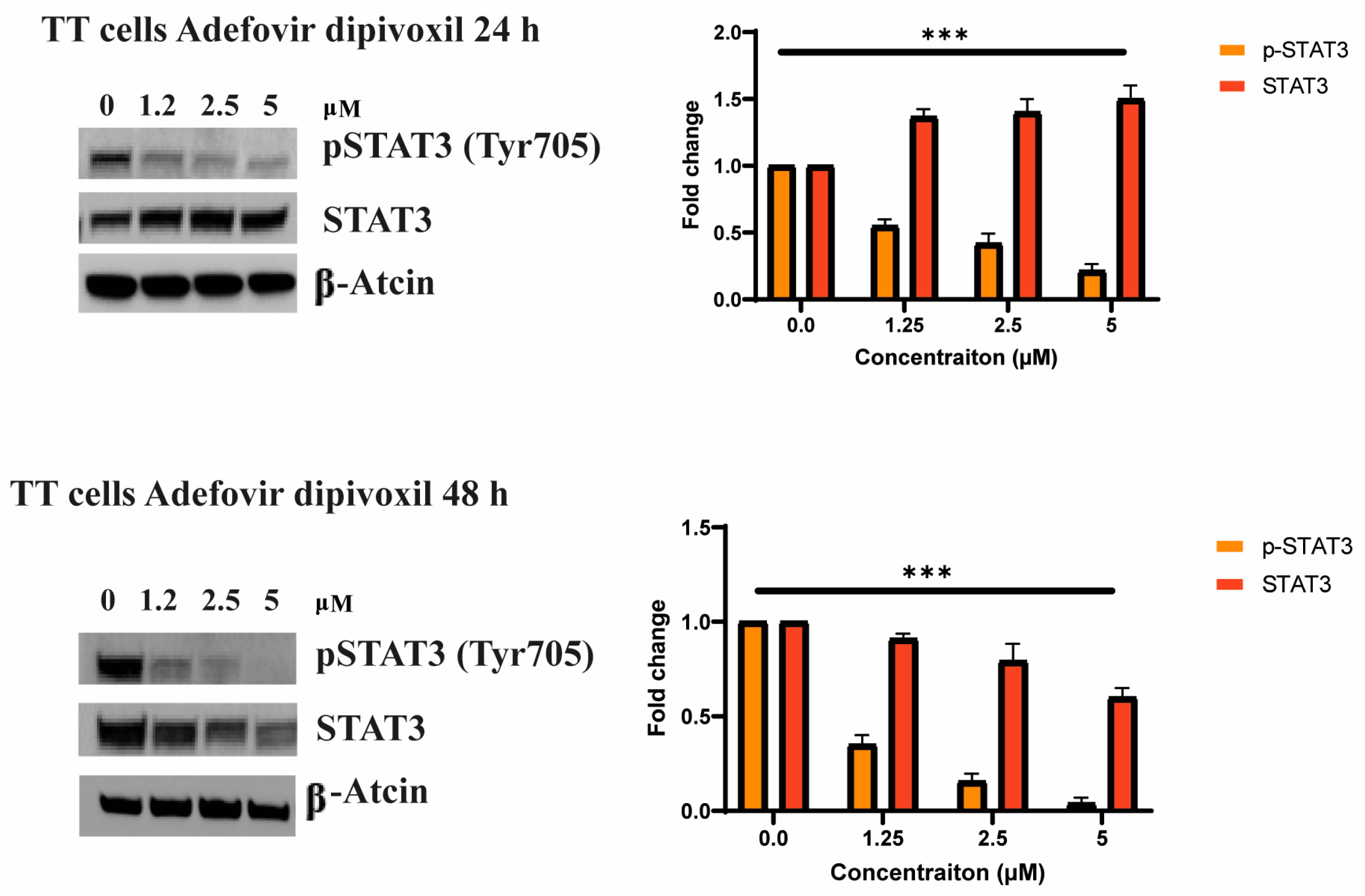 Cancers 15 02163 g007 Cancers 15 02163 g007