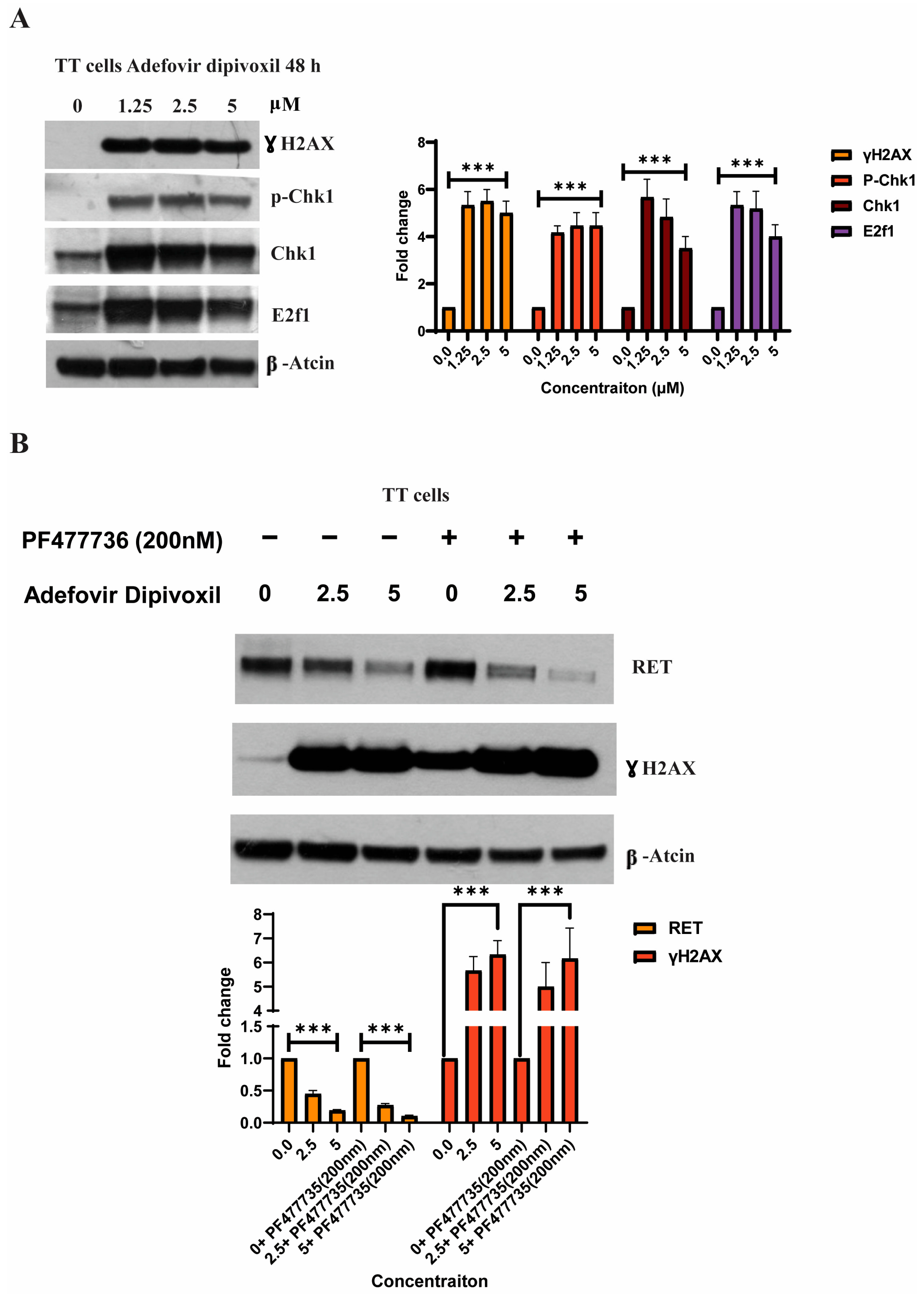 Cancers 15 02163 g009 Cancers 15 02163 g009
