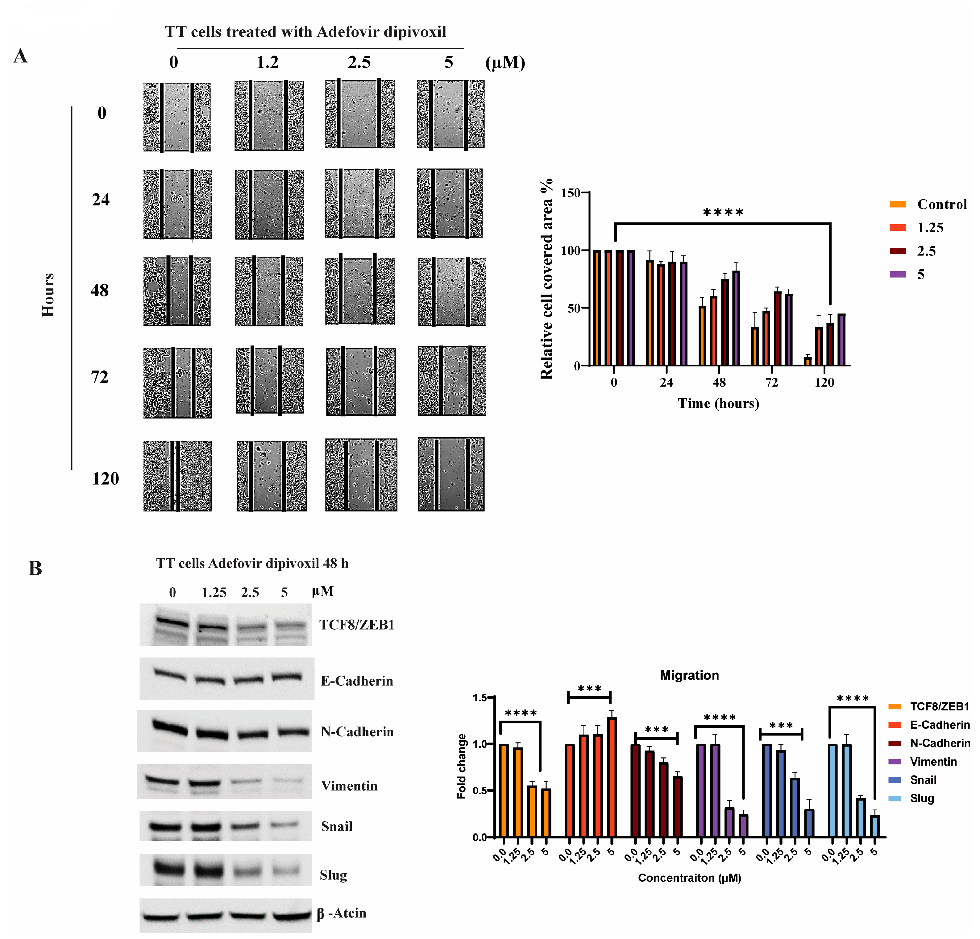 Cancers 15 02163 g010 Cancers 15 02163 g010