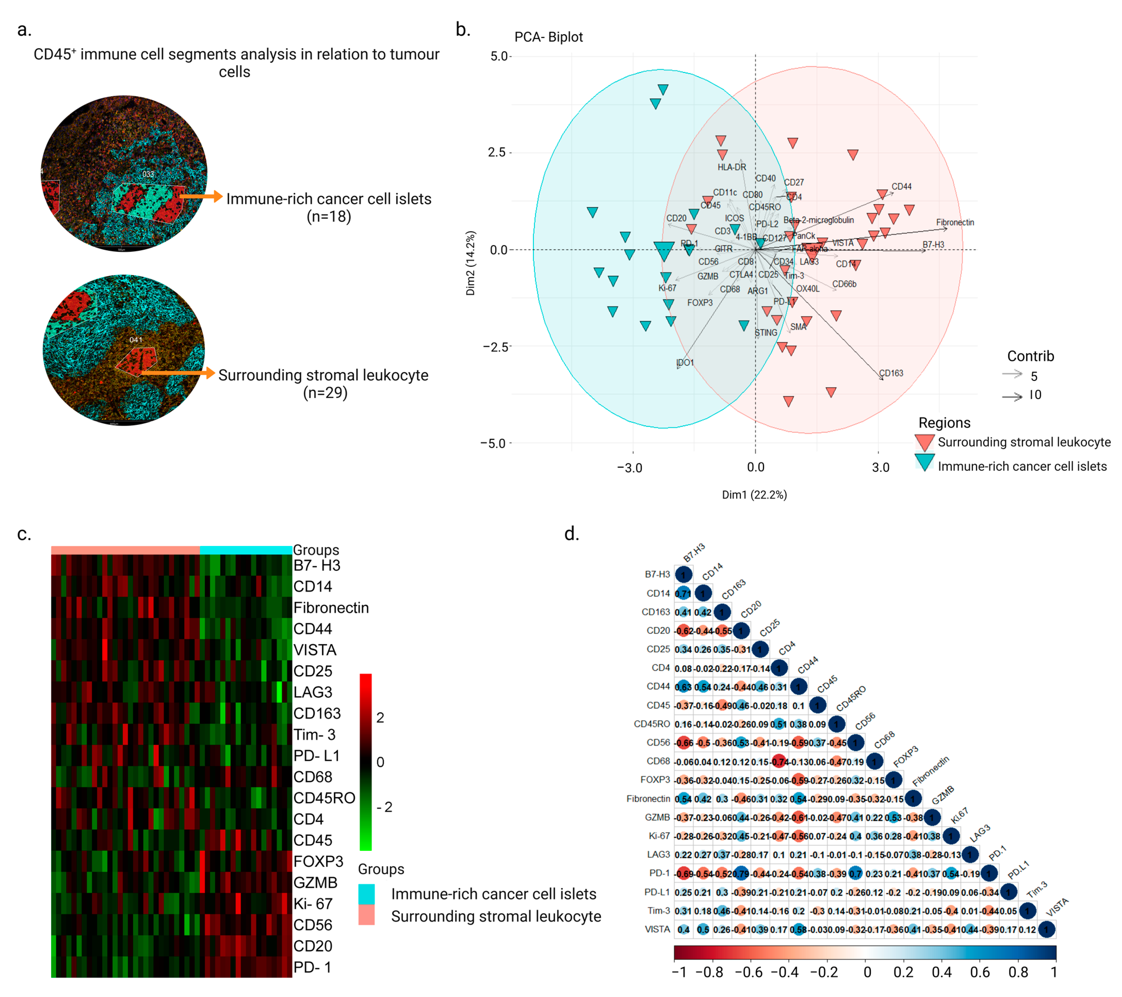 Cancers 15 02165 g001 Cancers 15 02165 g001