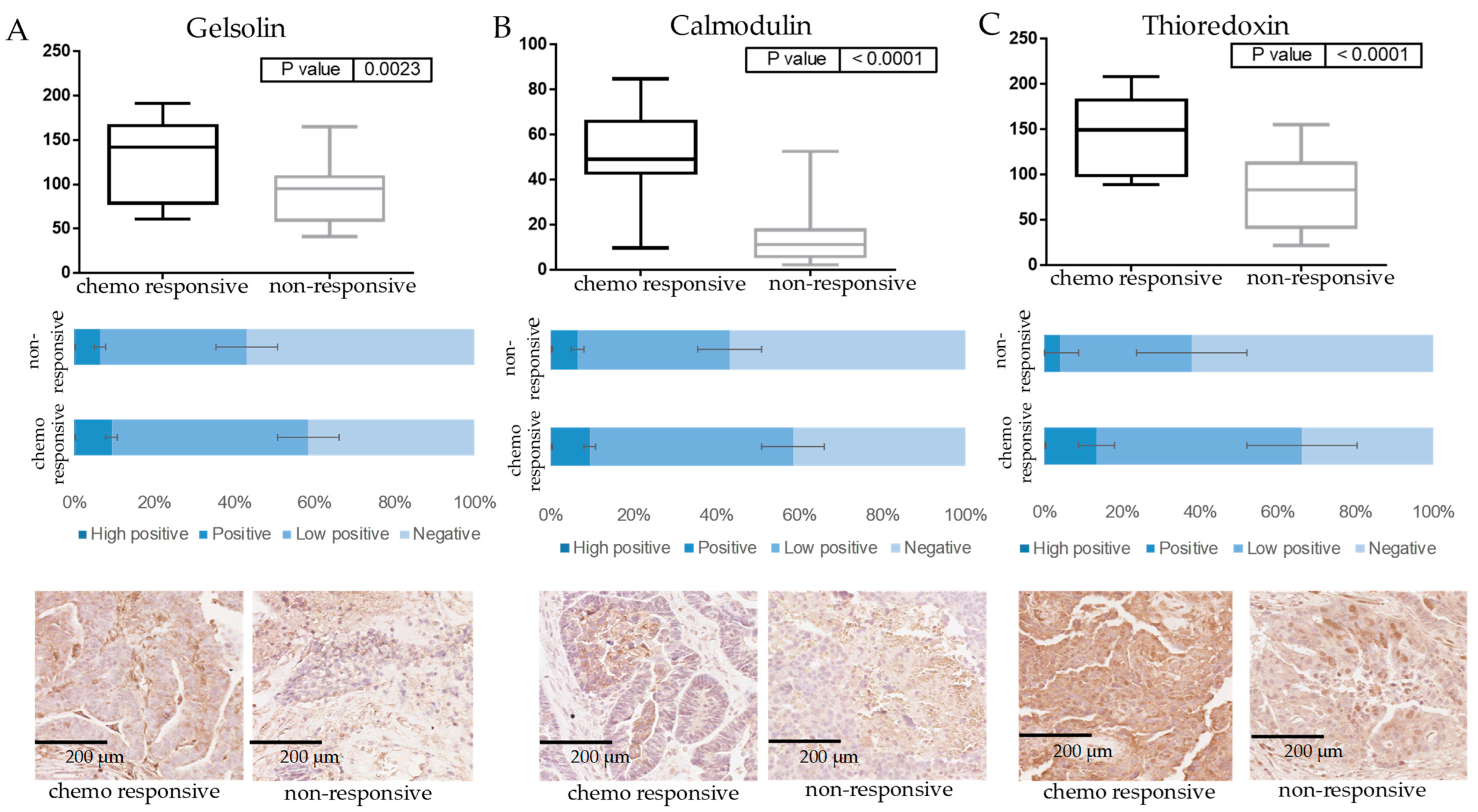 Cancers 15 02172 g002 Cancers 15 02172 g002