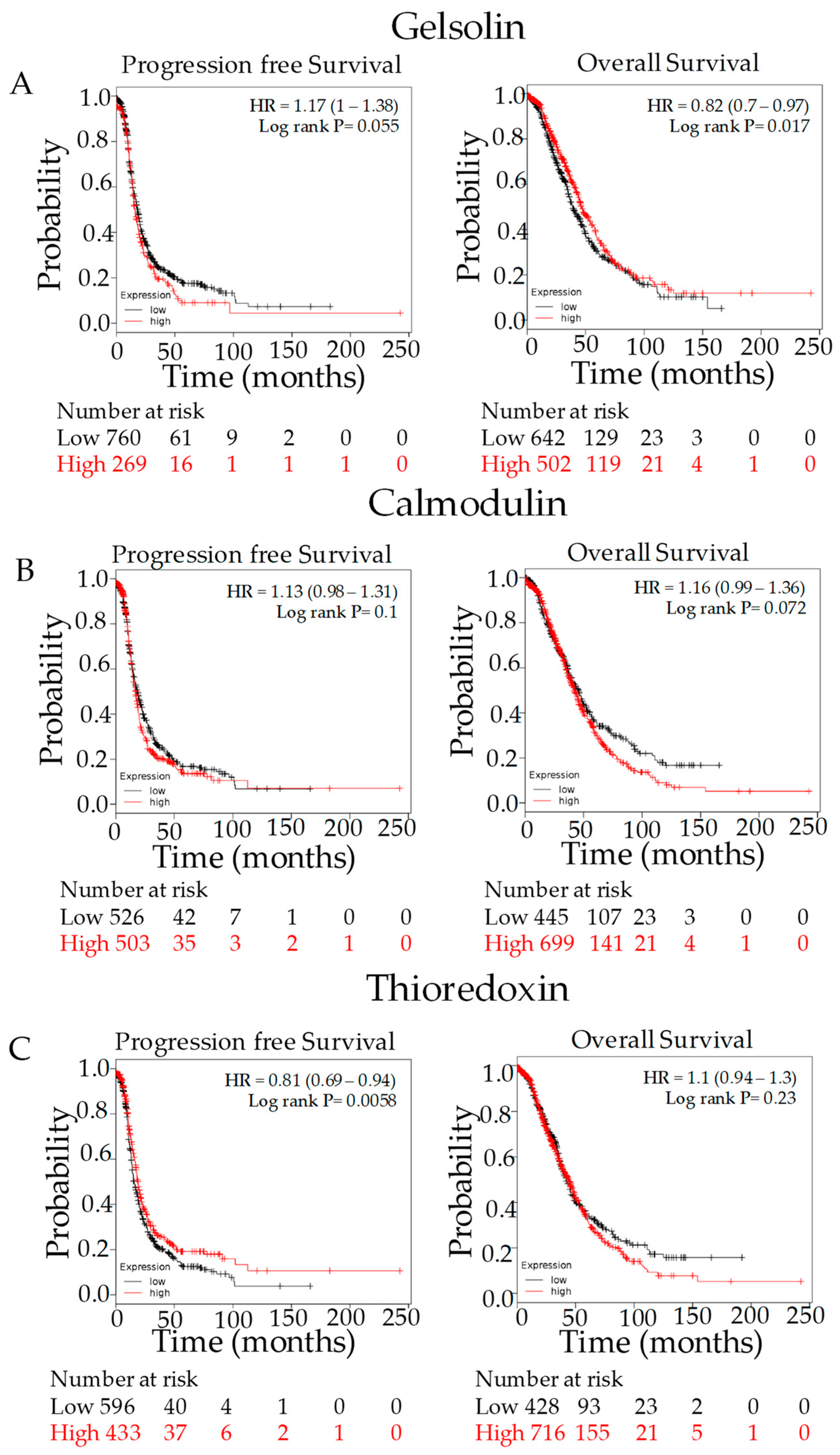 Cancers 15 02172 g004 Cancers 15 02172 g004