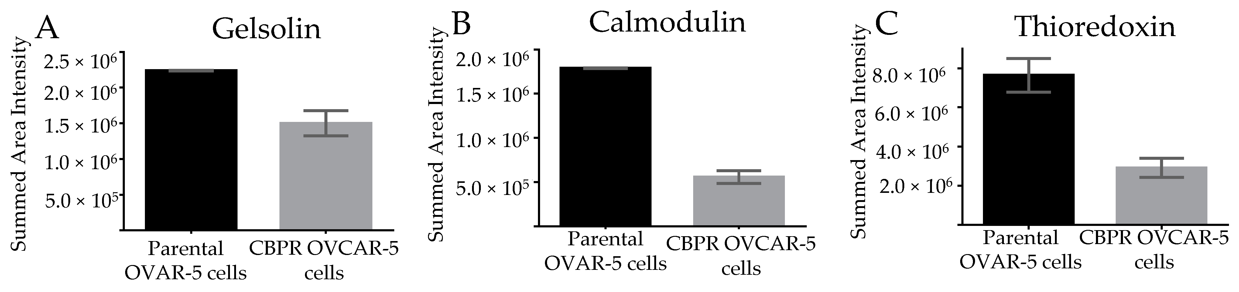 Cancers 15 02172 g005 Cancers 15 02172 g005