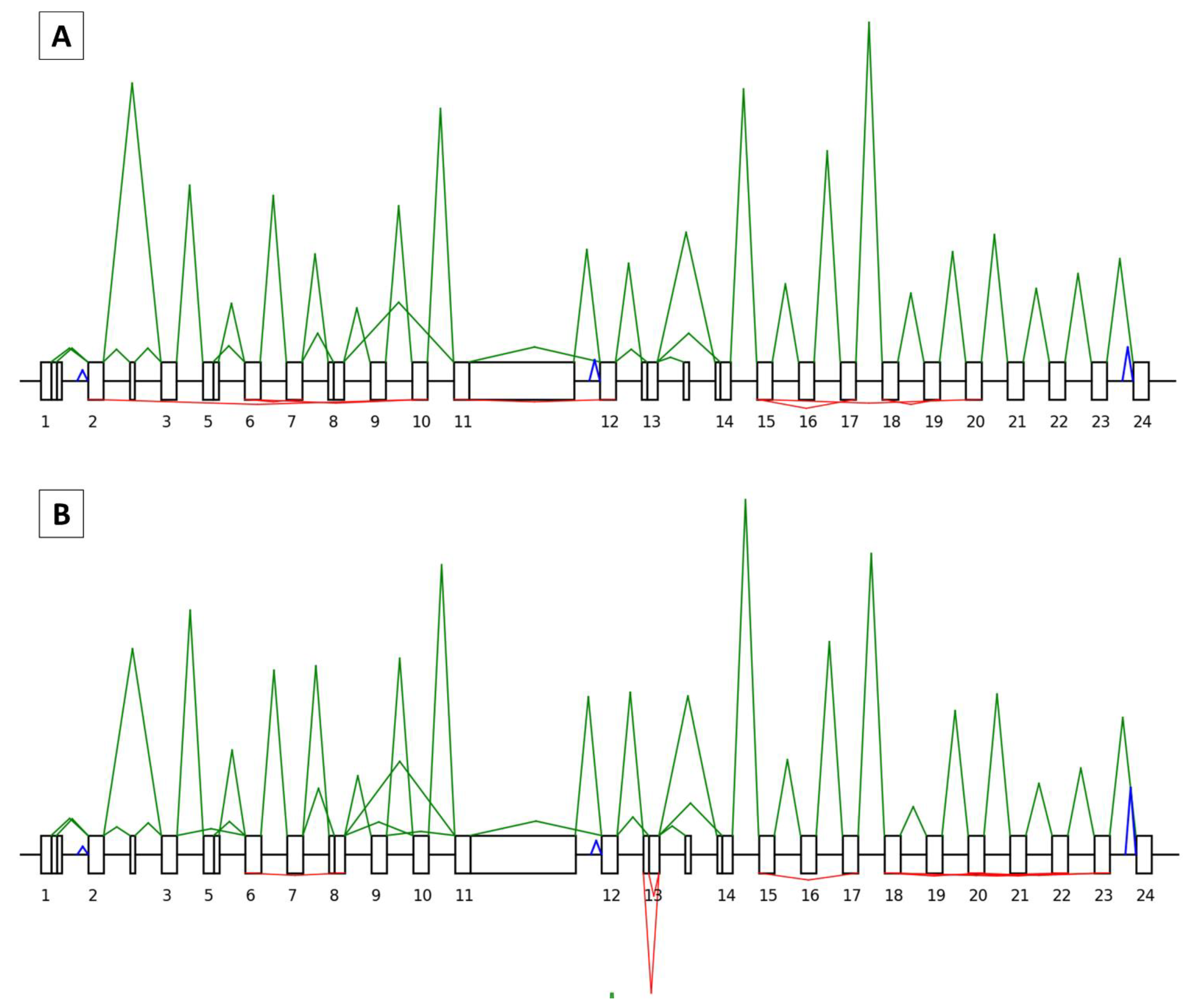 Cancers 15 02176 g003