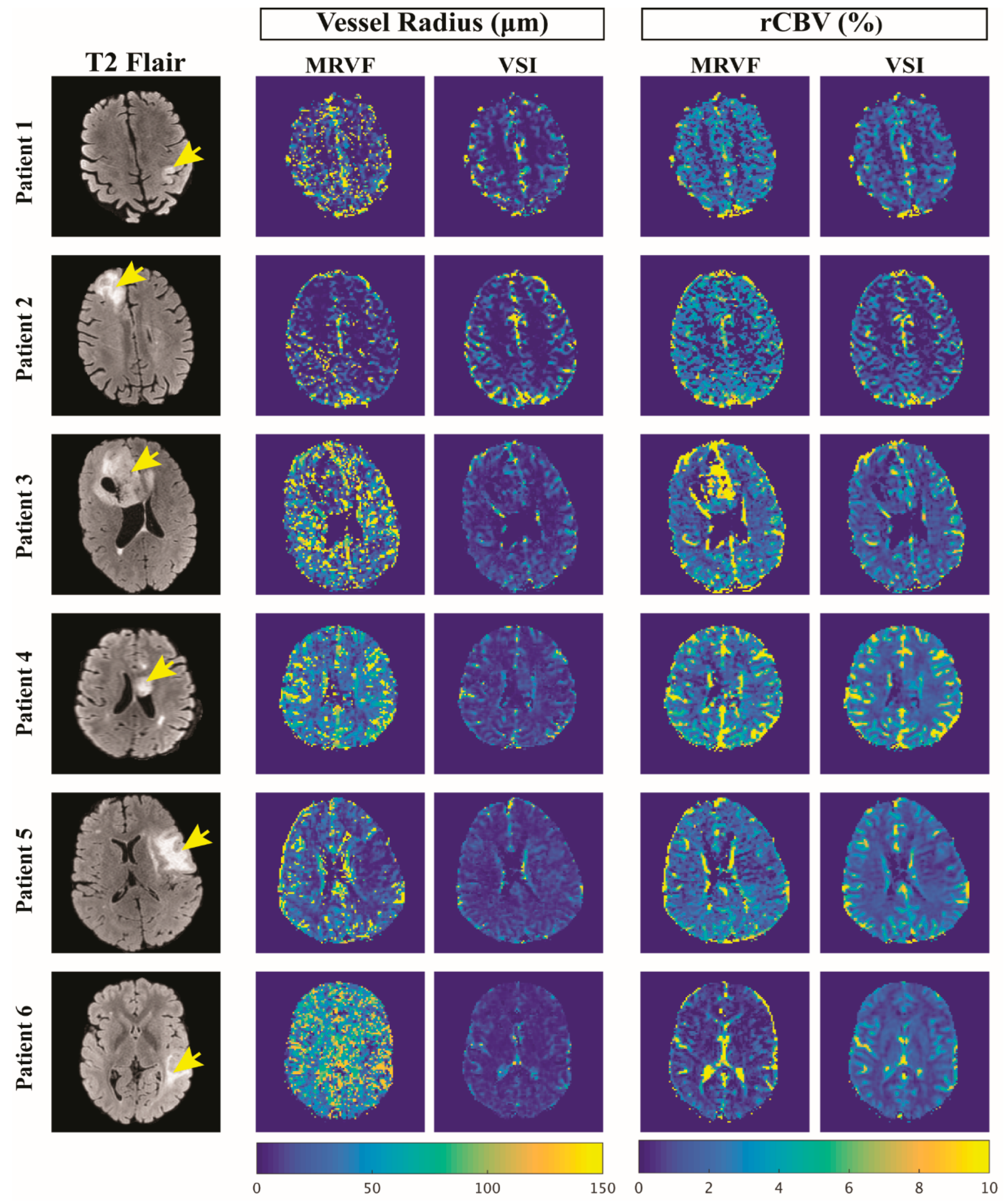 Cancers 15 02180 g004