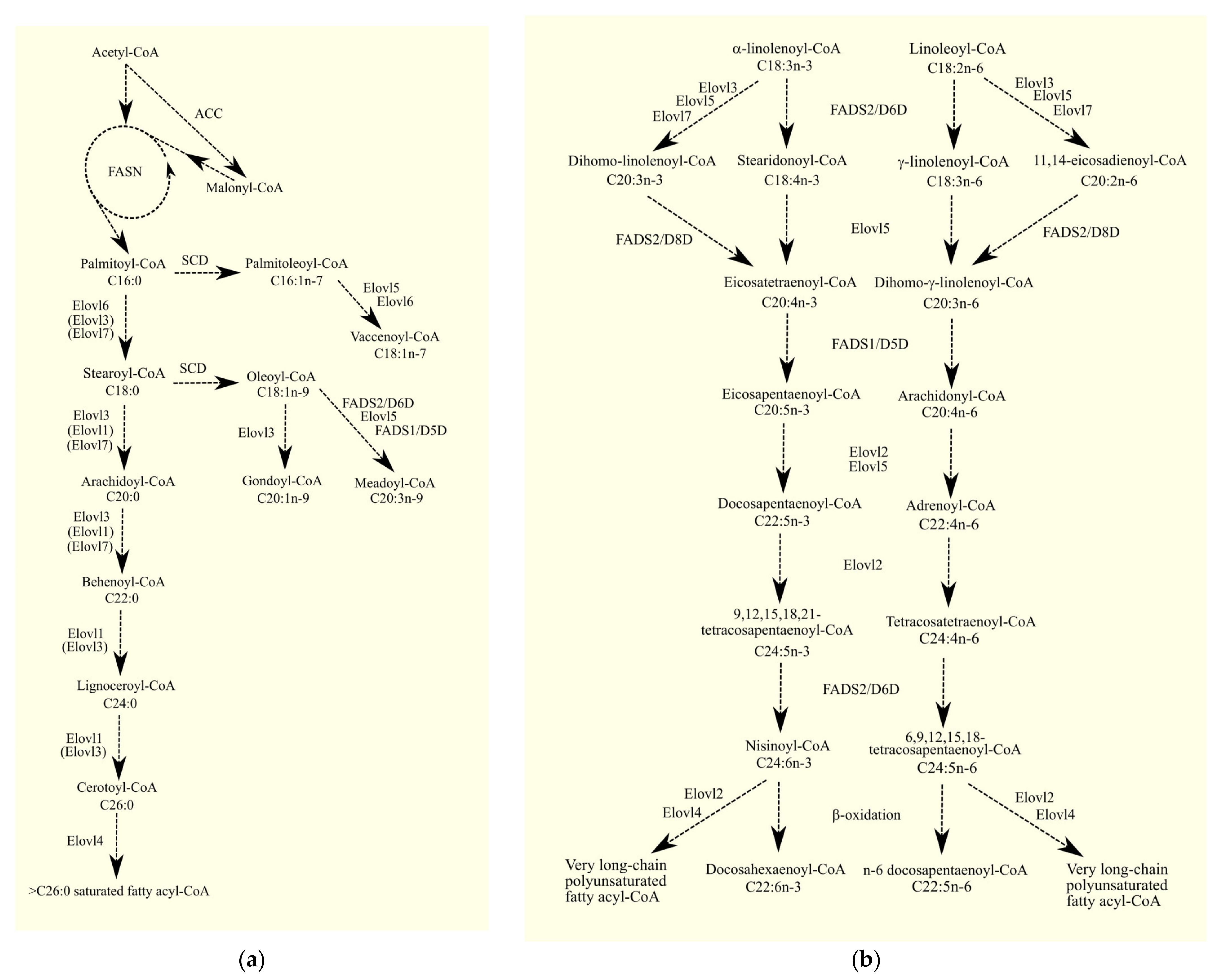 Cancers 15 02183 g001 Cancers 15 02183 g001