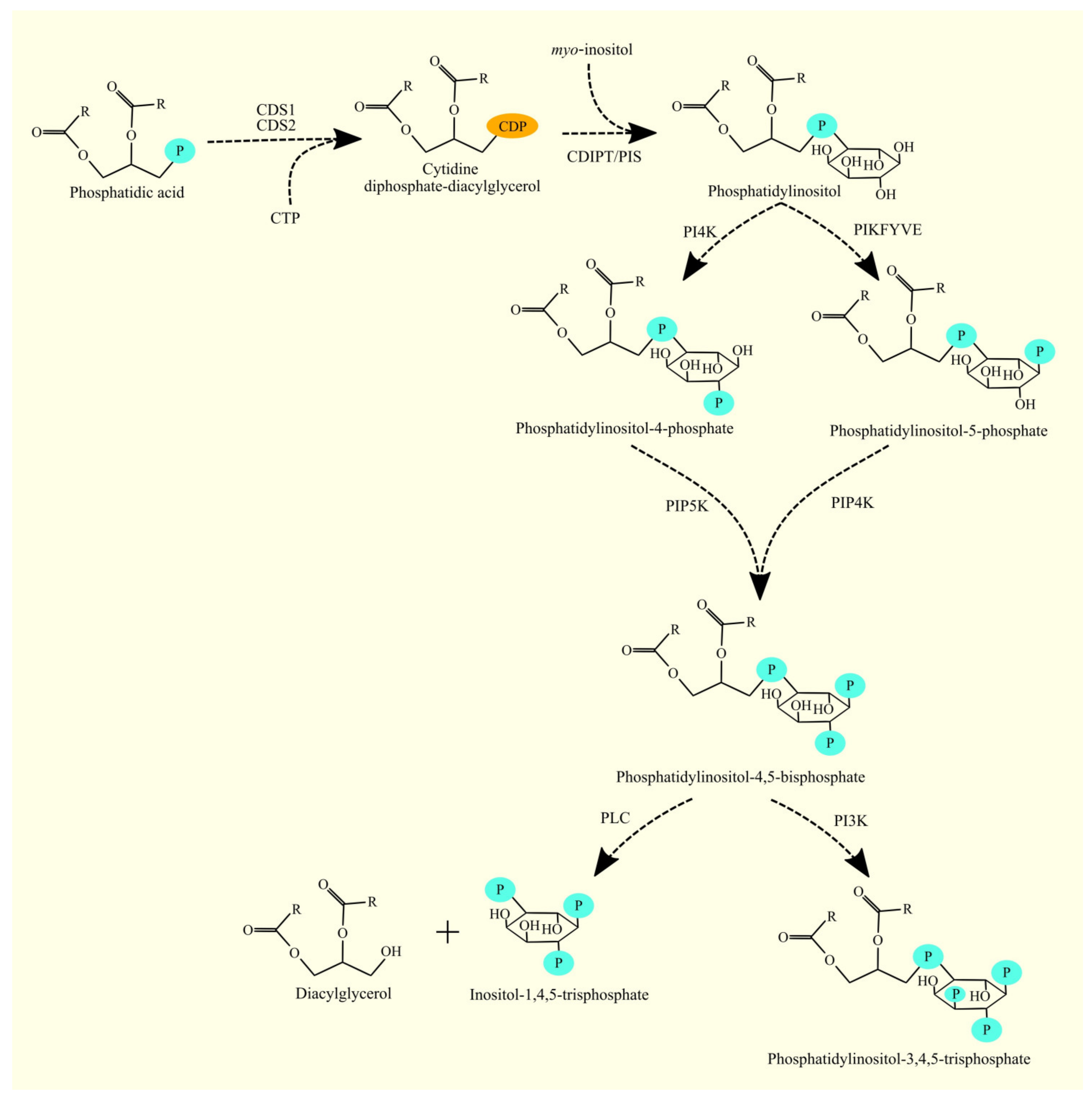 Cancers 15 02183 g009 Cancers 15 02183 g009