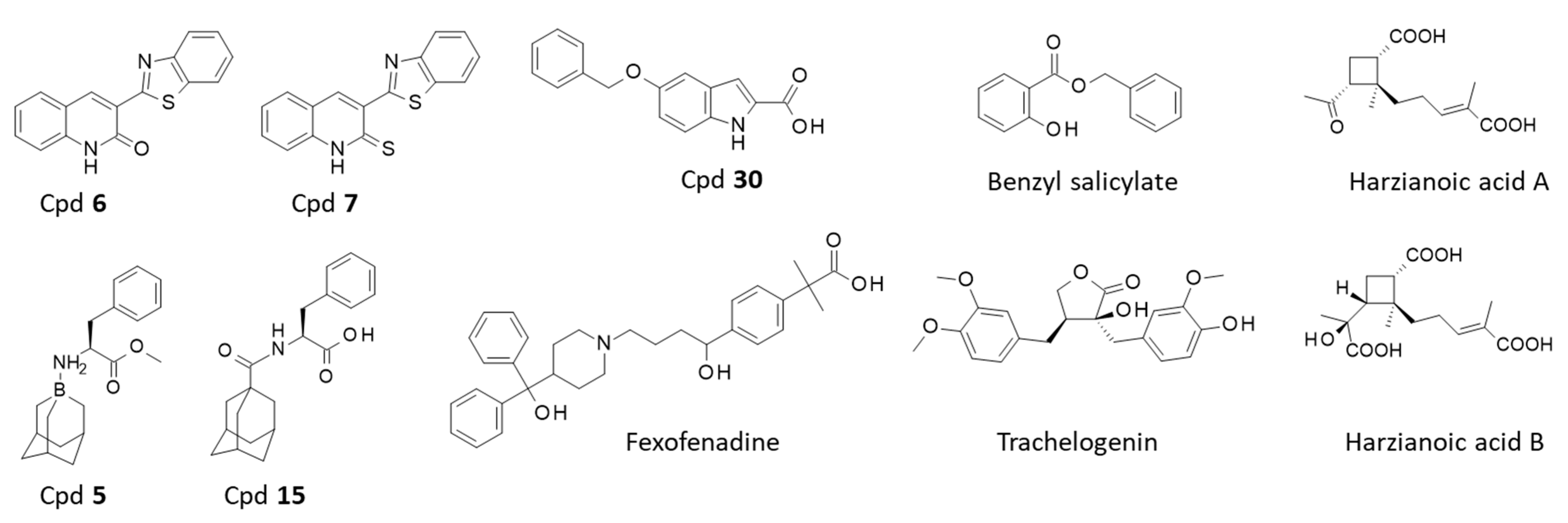 Cancers 15 02186 g005