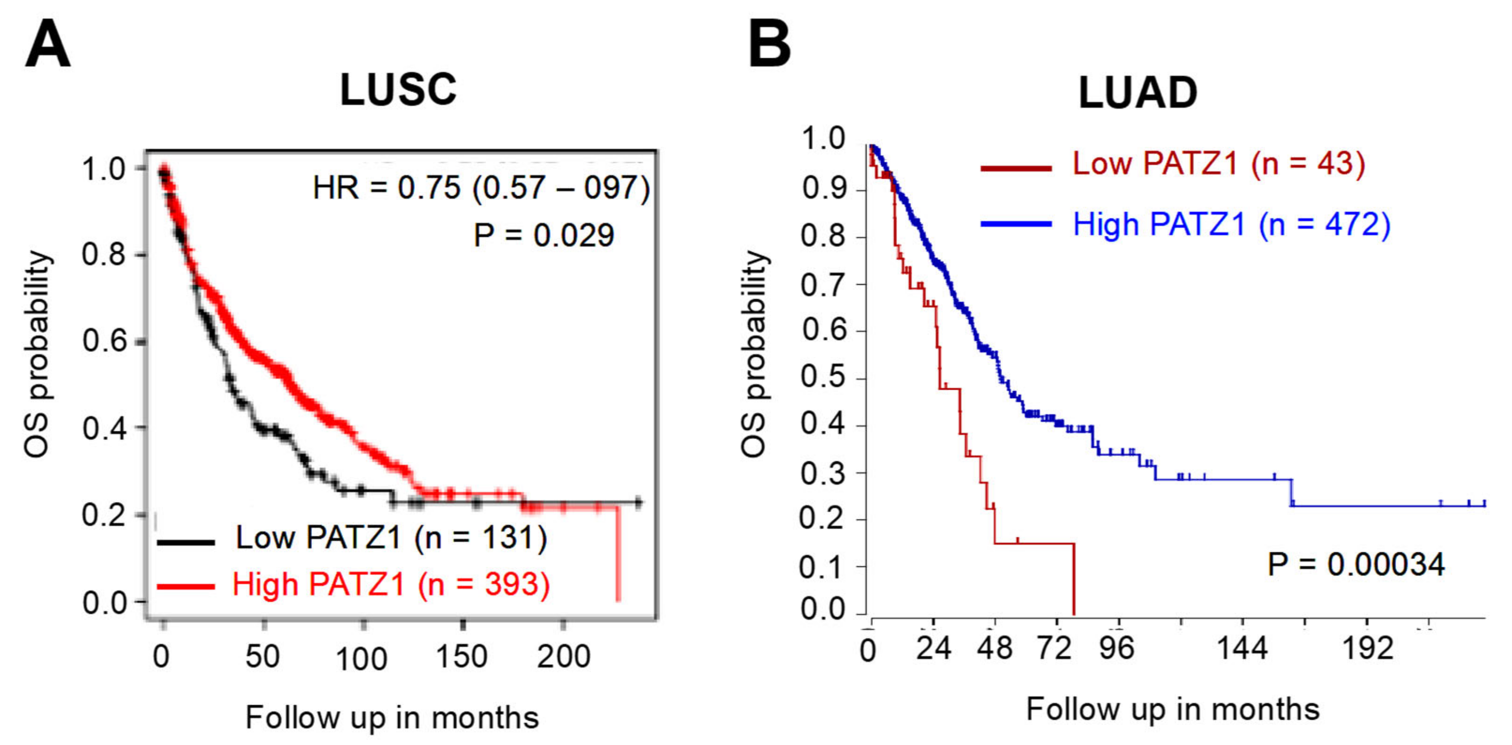 Cancers 15 02190 g003
