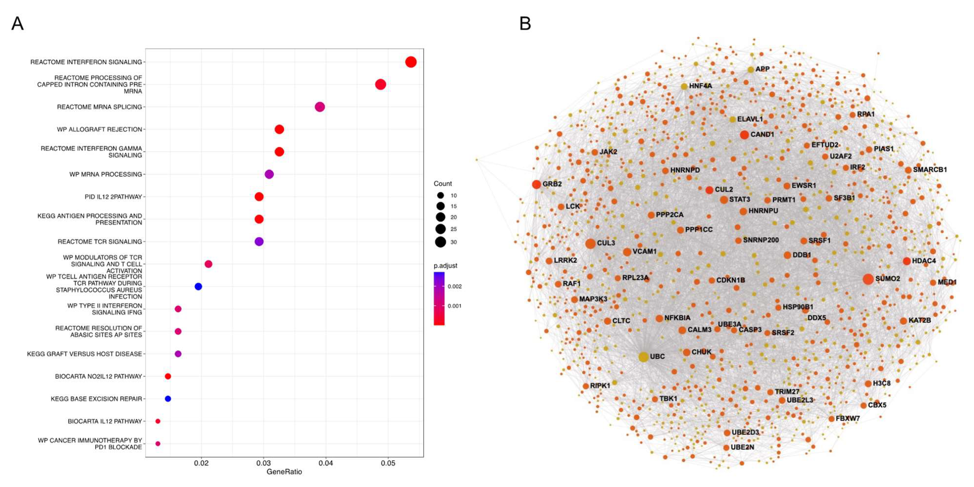 Cancers 15 02194 g005
