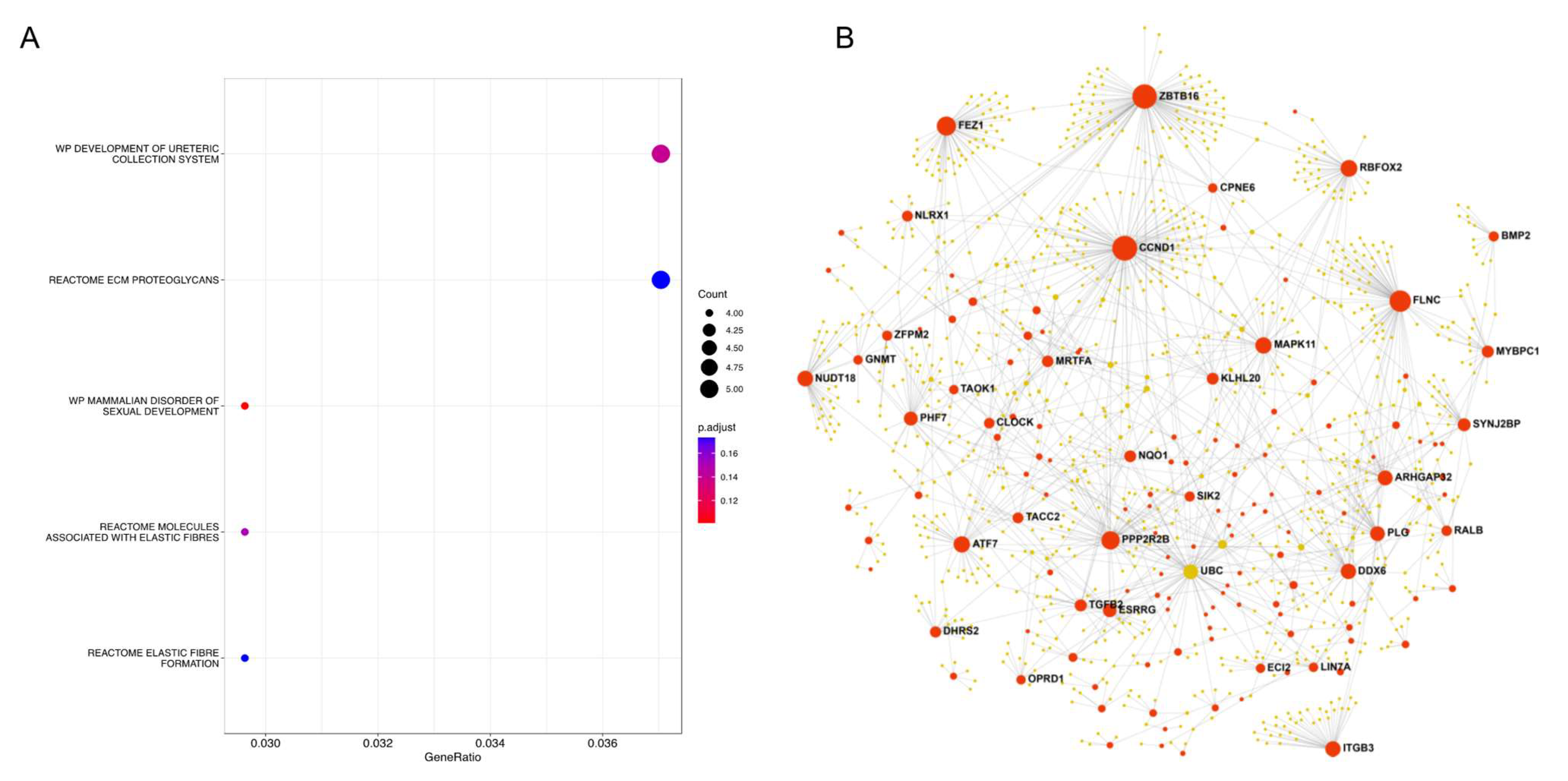 Cancers 15 02194 g006