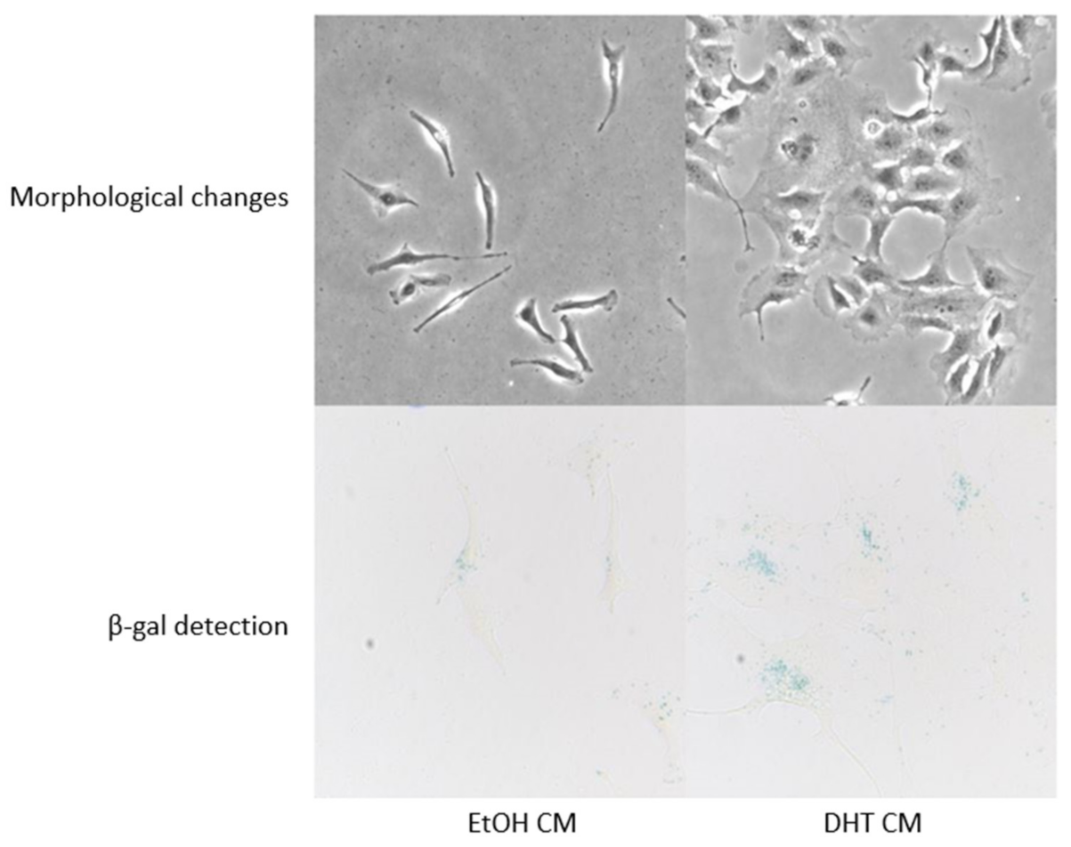 Cancers 15 02198 g008