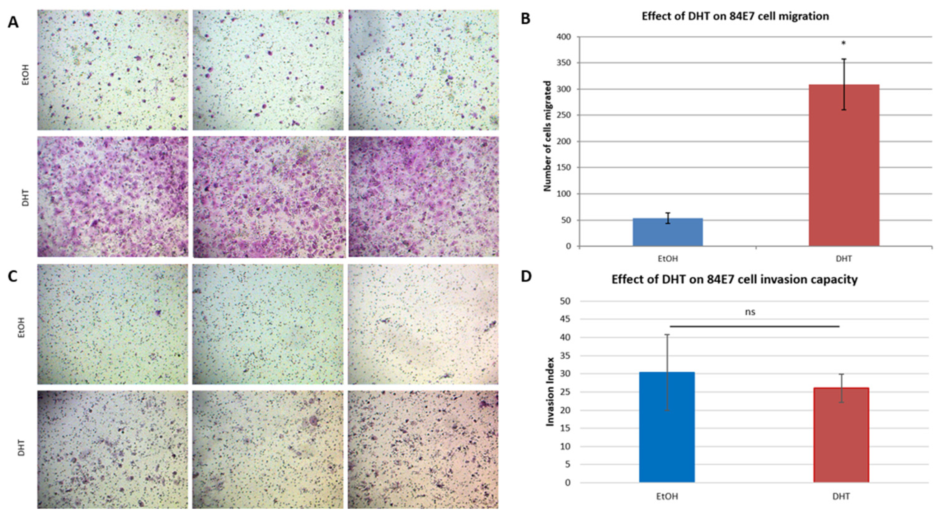 Cancers 15 02198 g011
