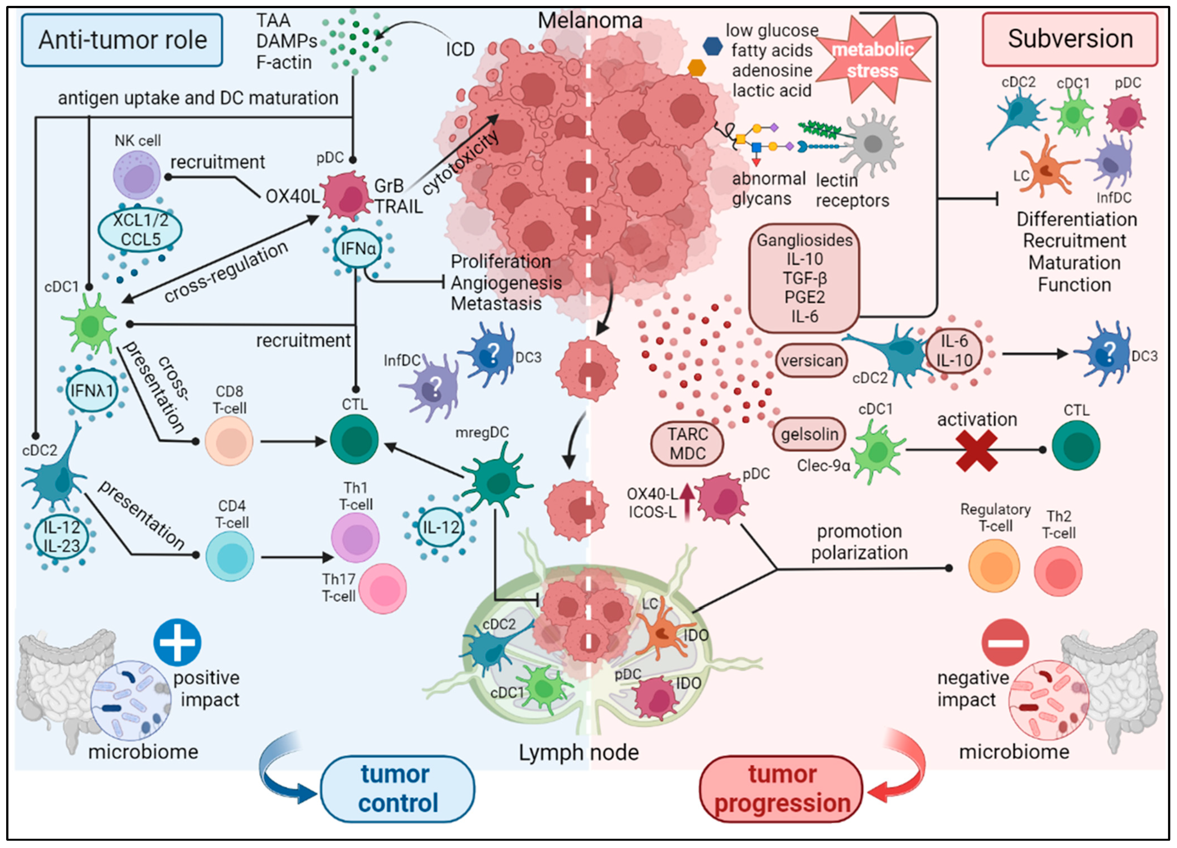 Cancers 15 02206 g001