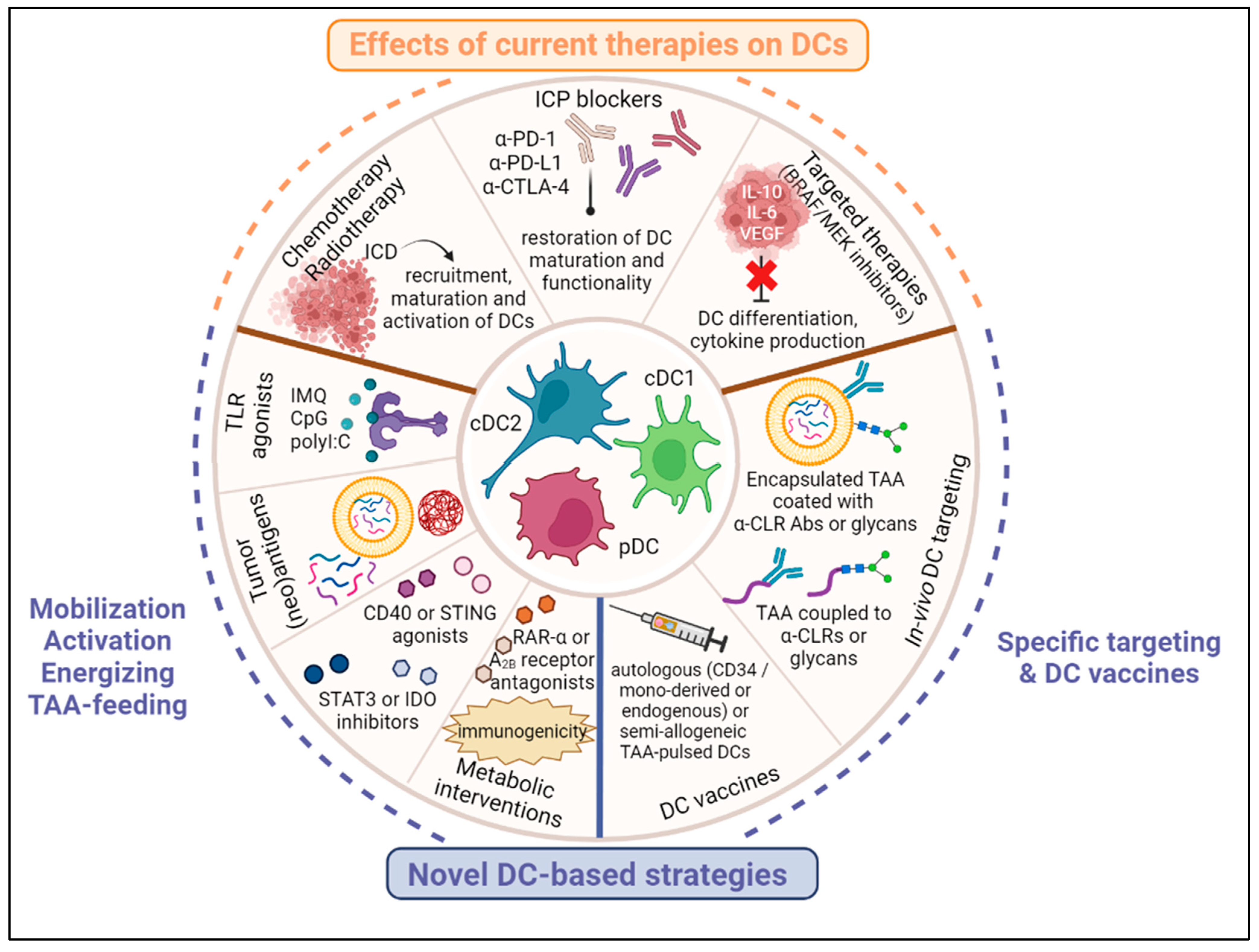 Cancers 15 02206 g002