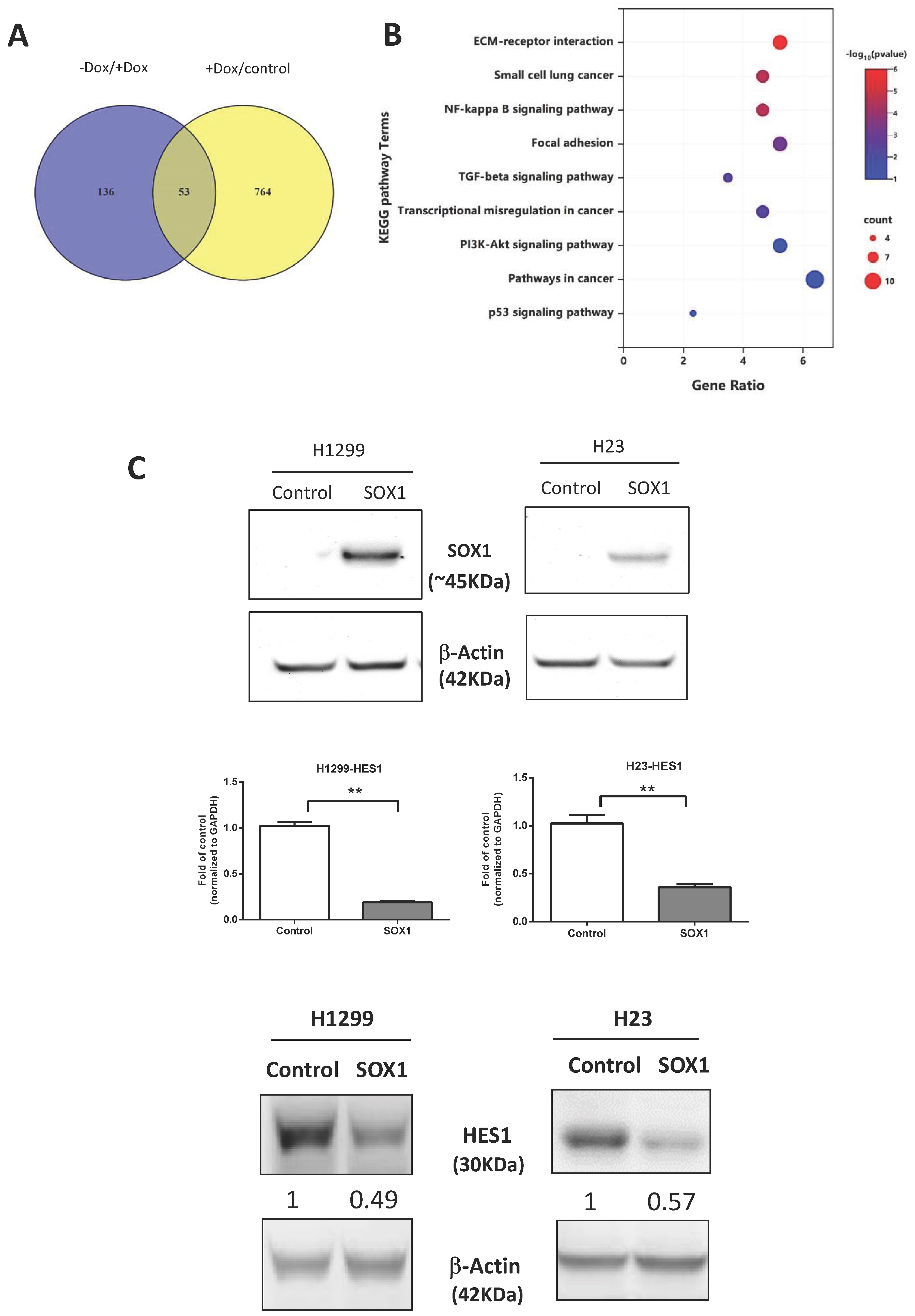 Cancers 15 02207 g005