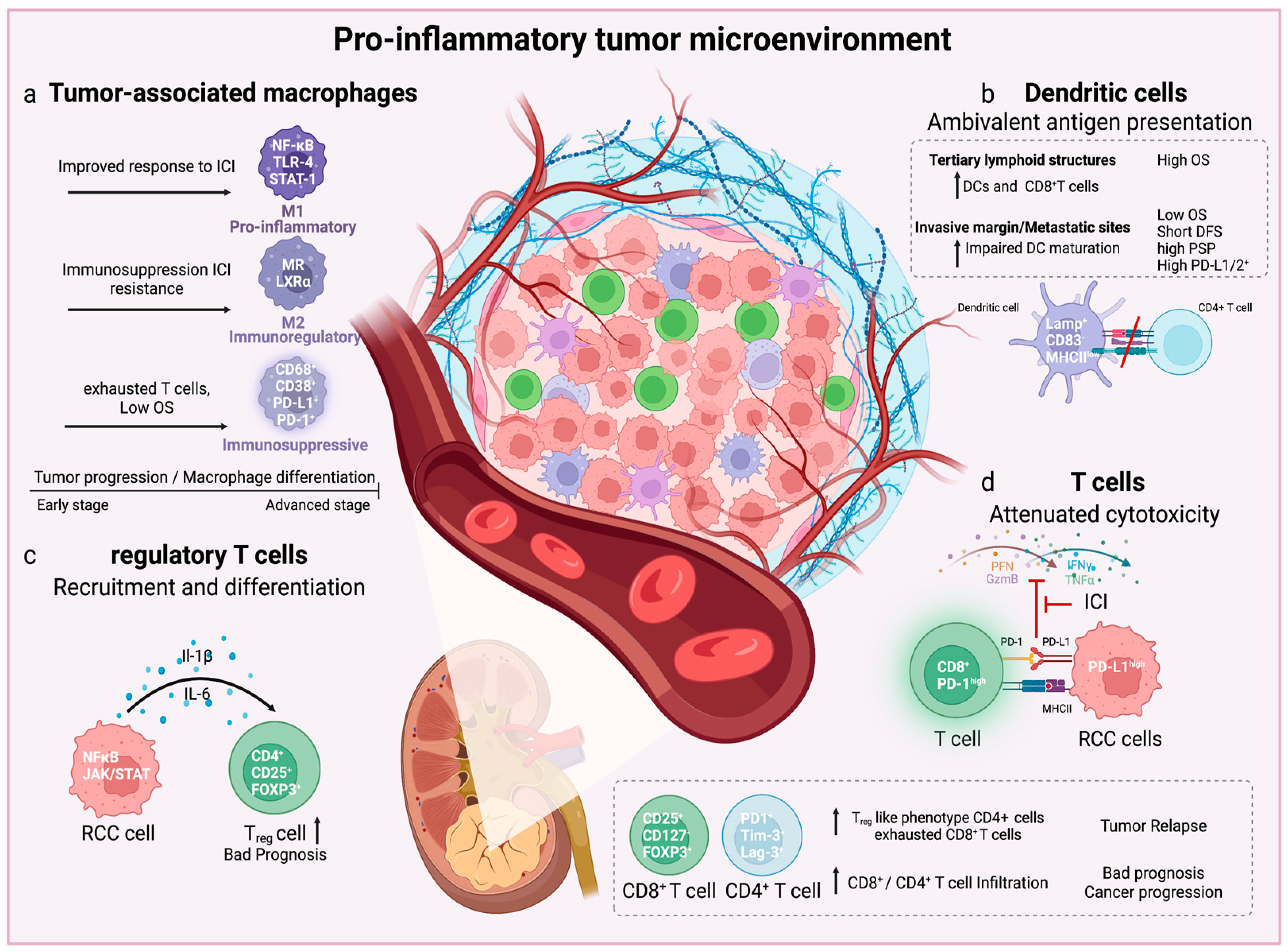 Cancers 15 02212 g002