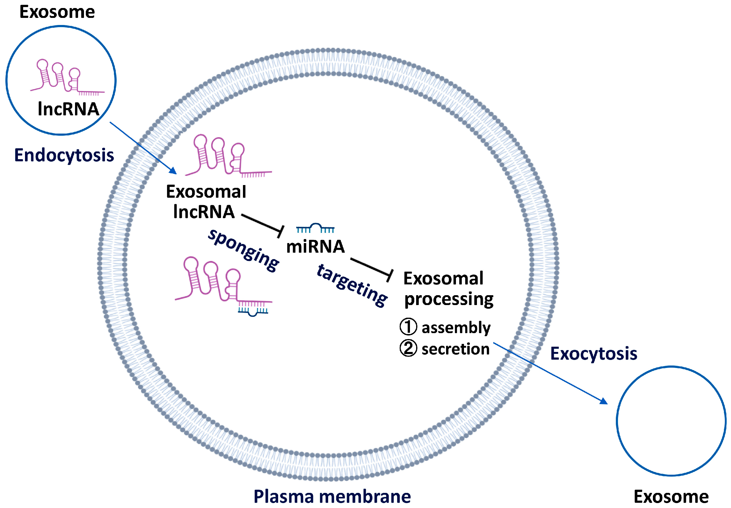 Cancers 15 02215 g001 Cancers 15 02215 g001