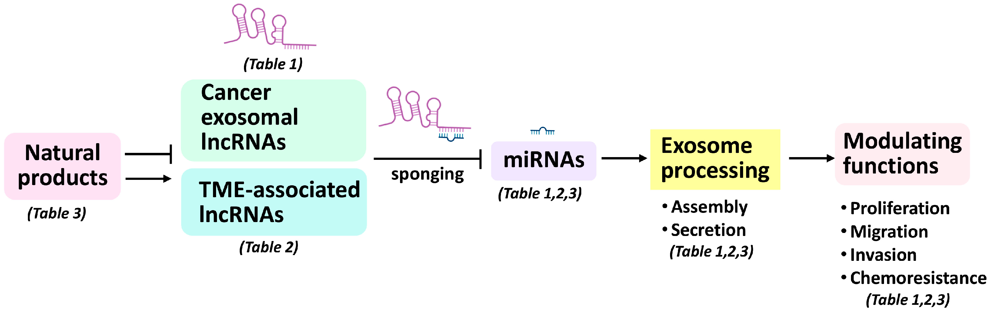 Cancers 15 02215 g003 Cancers 15 02215 g003