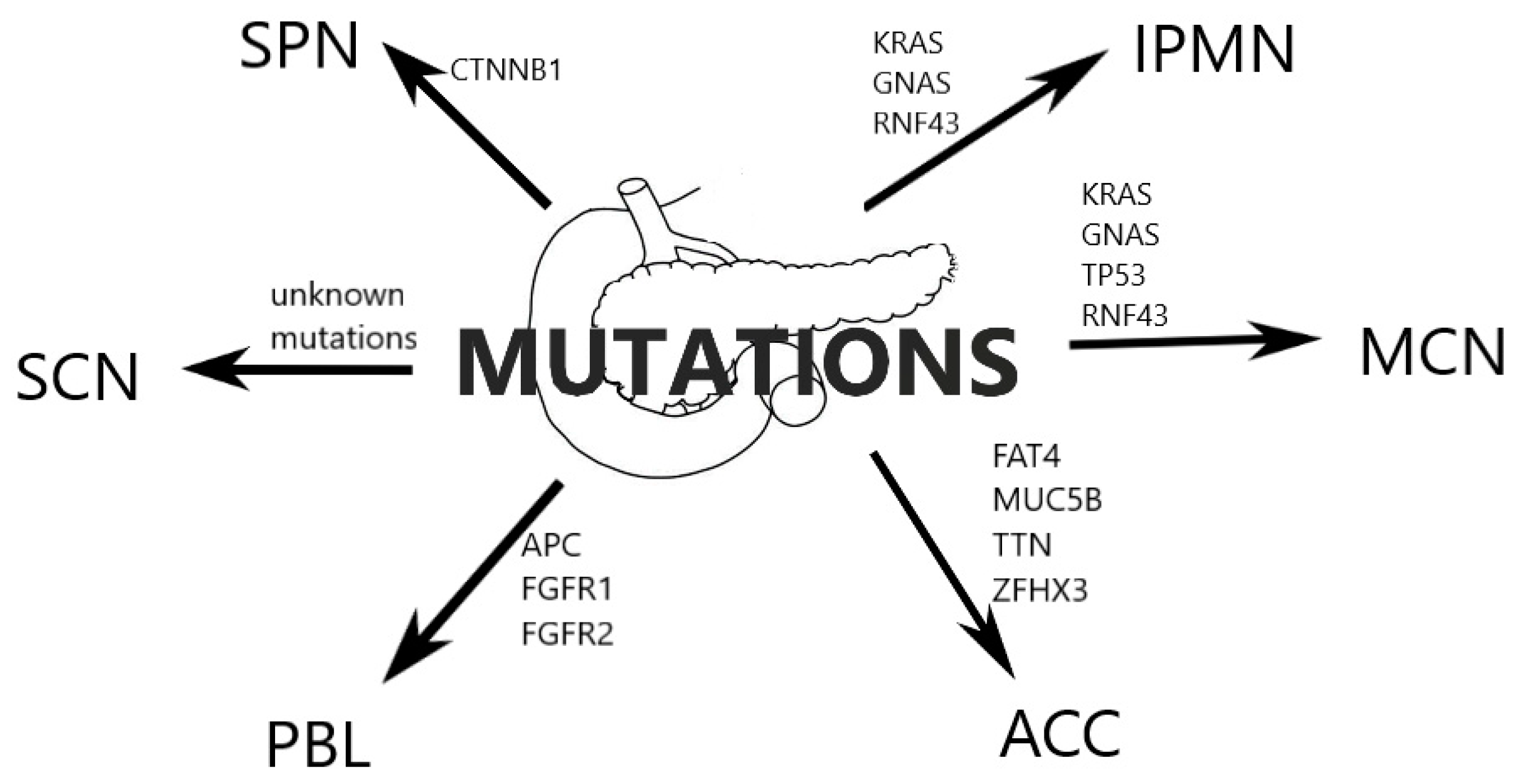 Cancers 15 02216 g001 Cancers 15 02216 g001