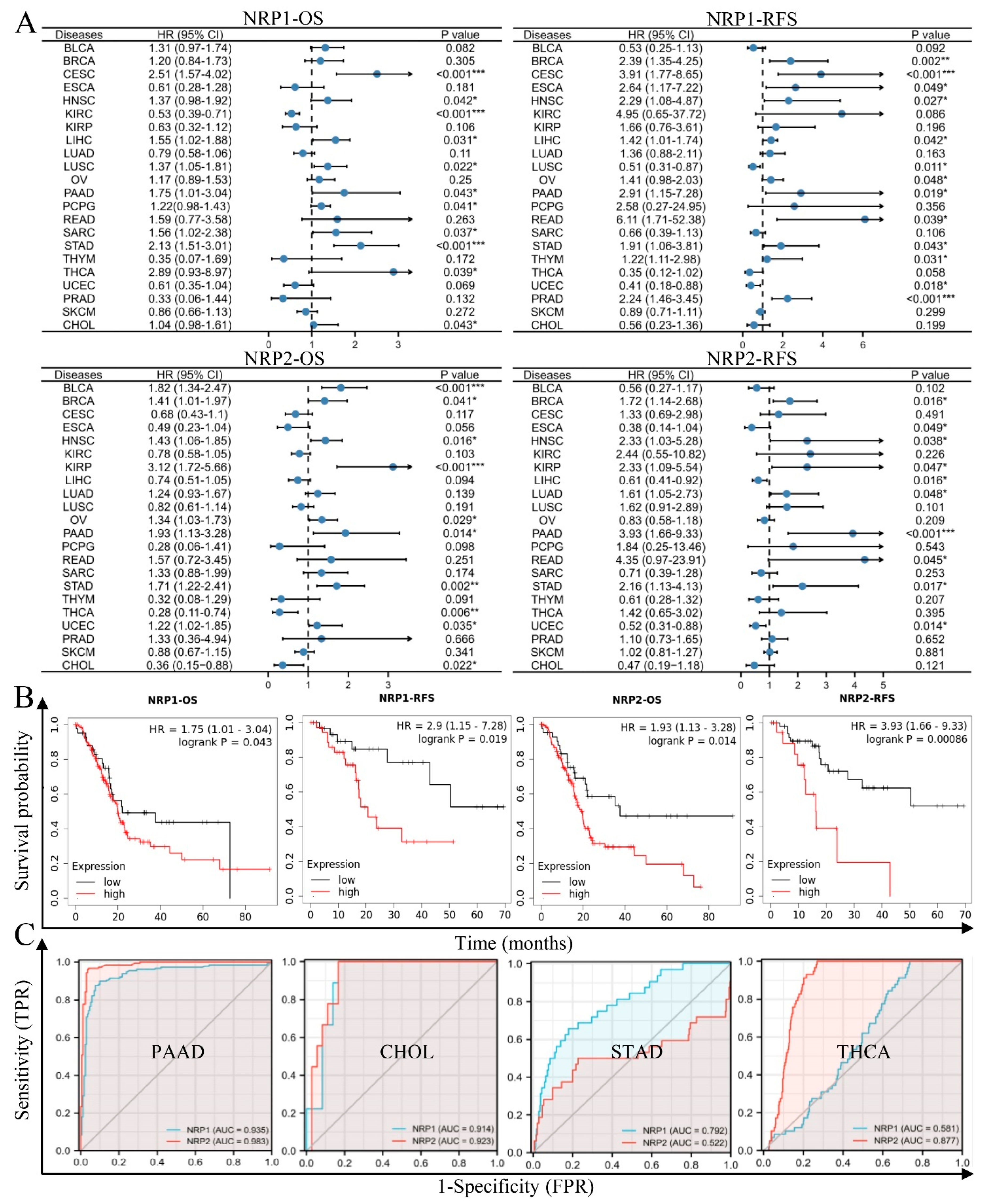 Cancers 15 02225 g003 Cancers 15 02225 g003
