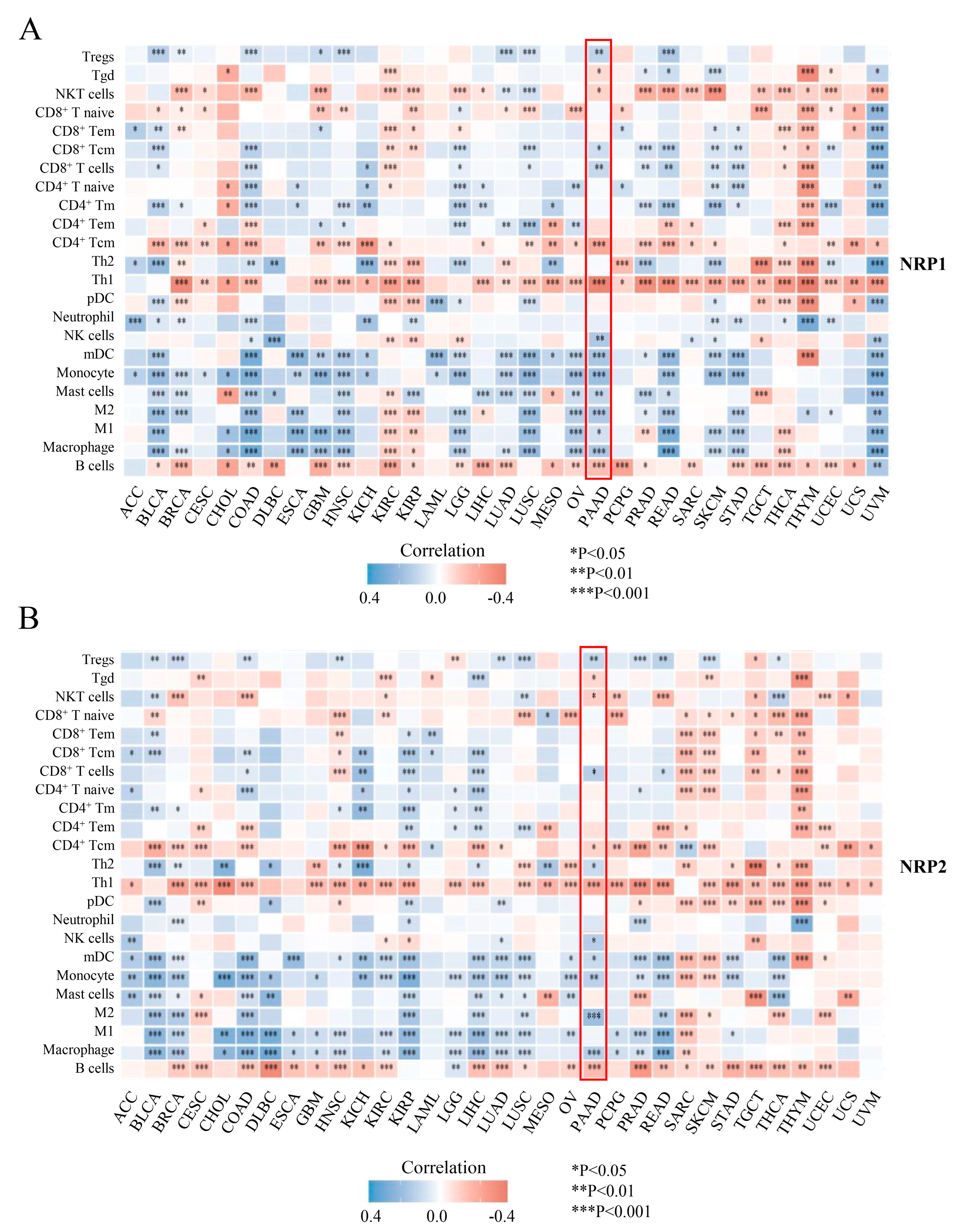 Cancers 15 02225 g004 Cancers 15 02225 g004