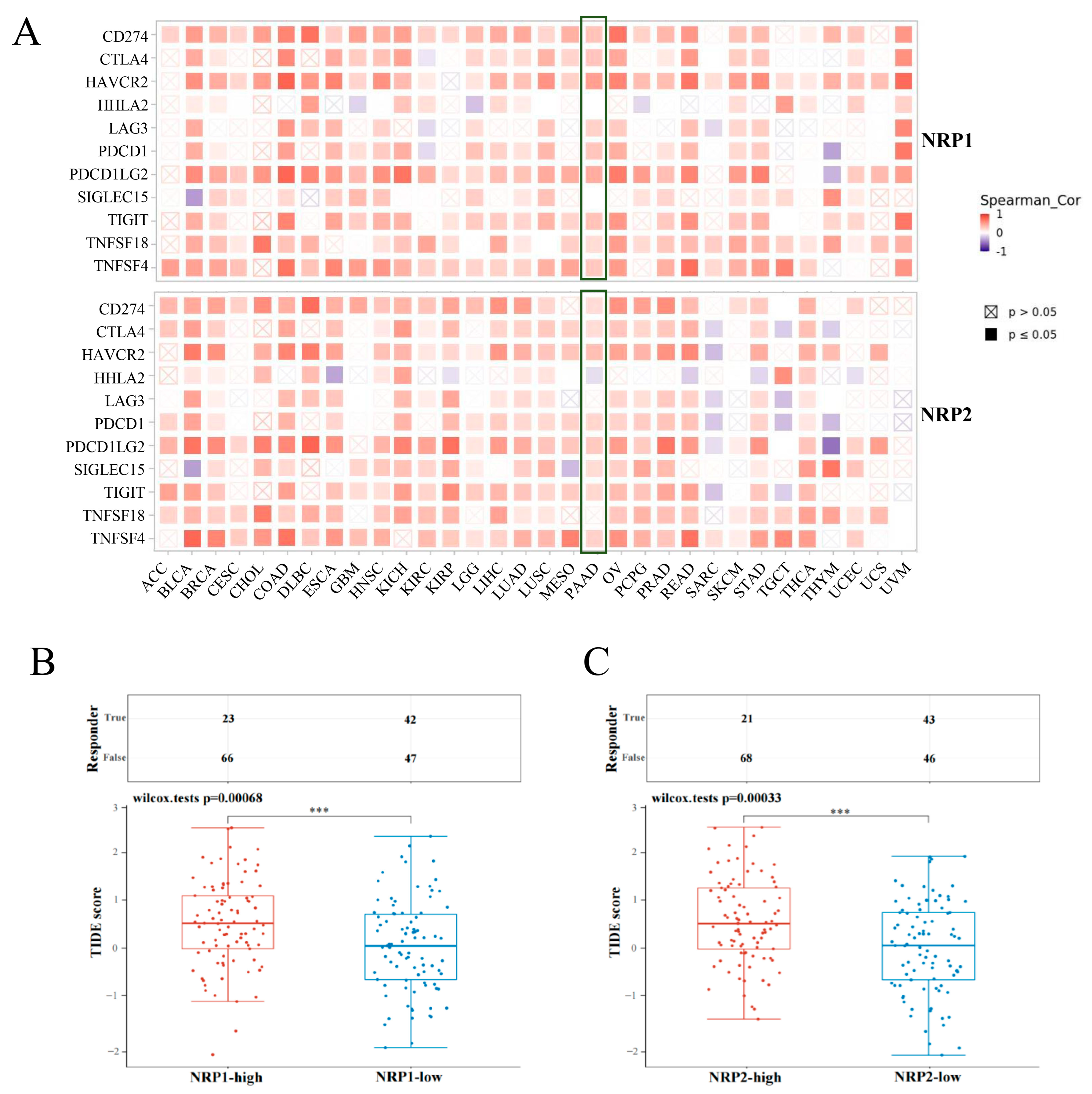 Cancers 15 02225 g005 Cancers 15 02225 g005