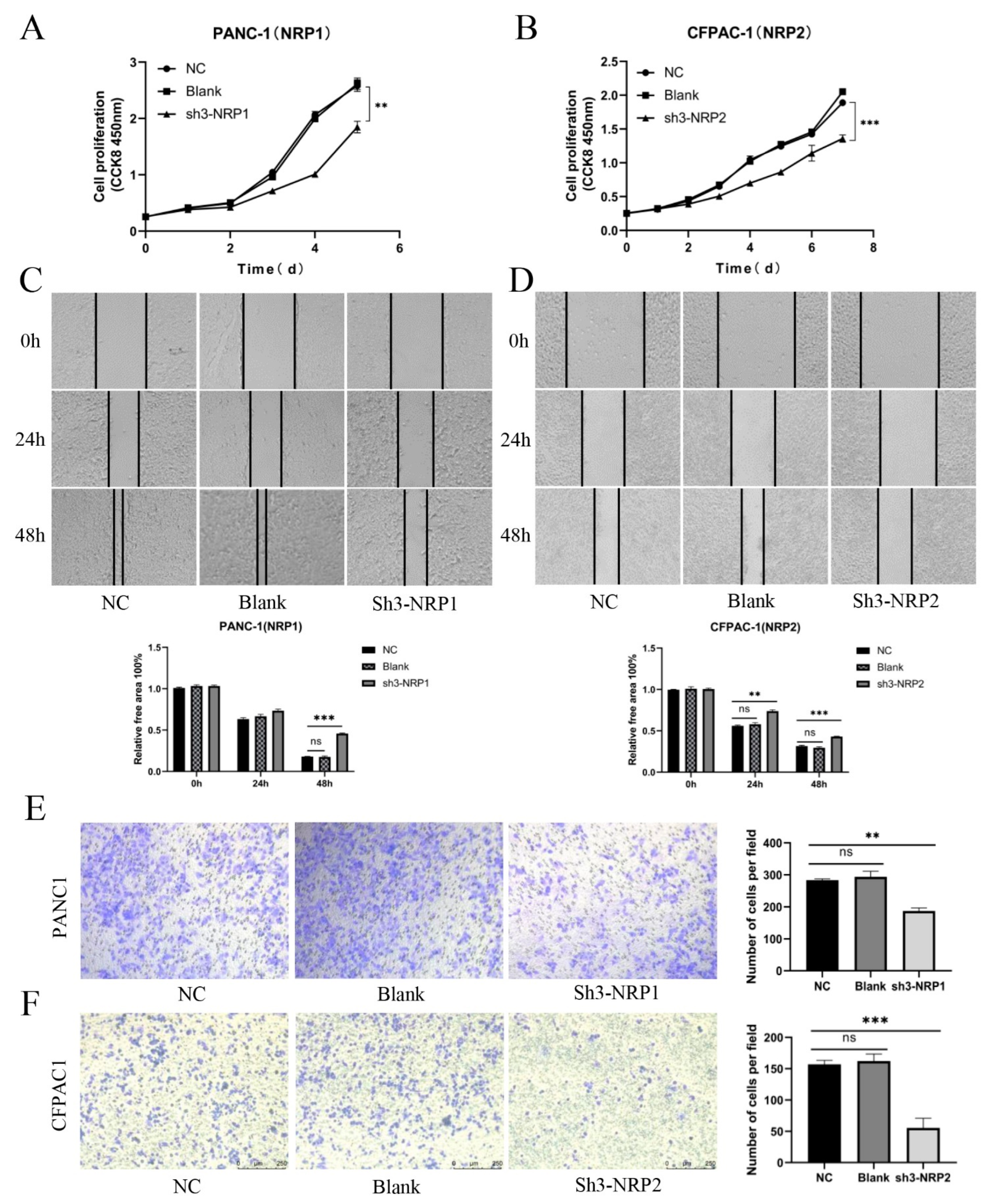 Cancers 15 02225 g006 Cancers 15 02225 g006