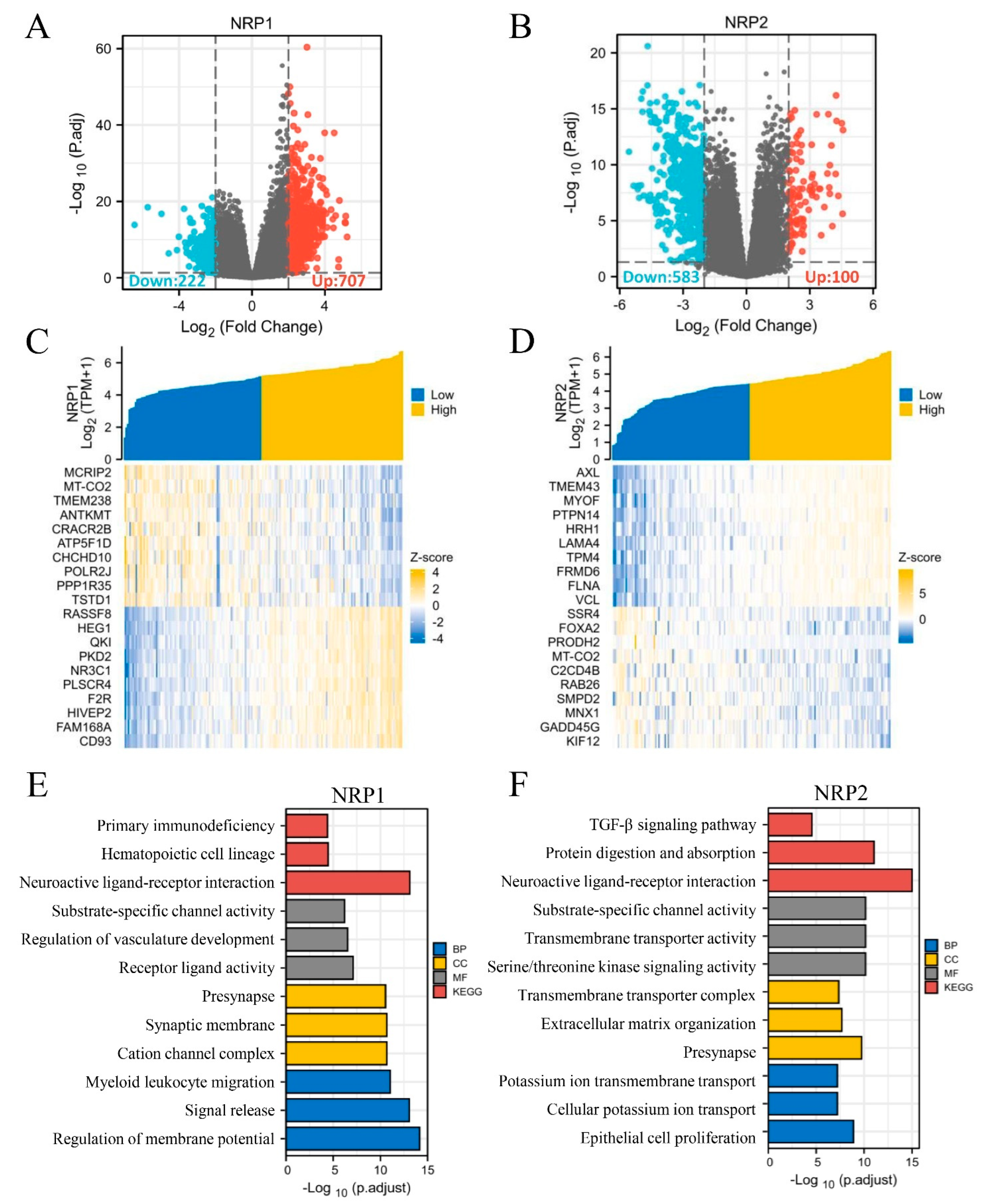 Cancers 15 02225 g008 Cancers 15 02225 g008