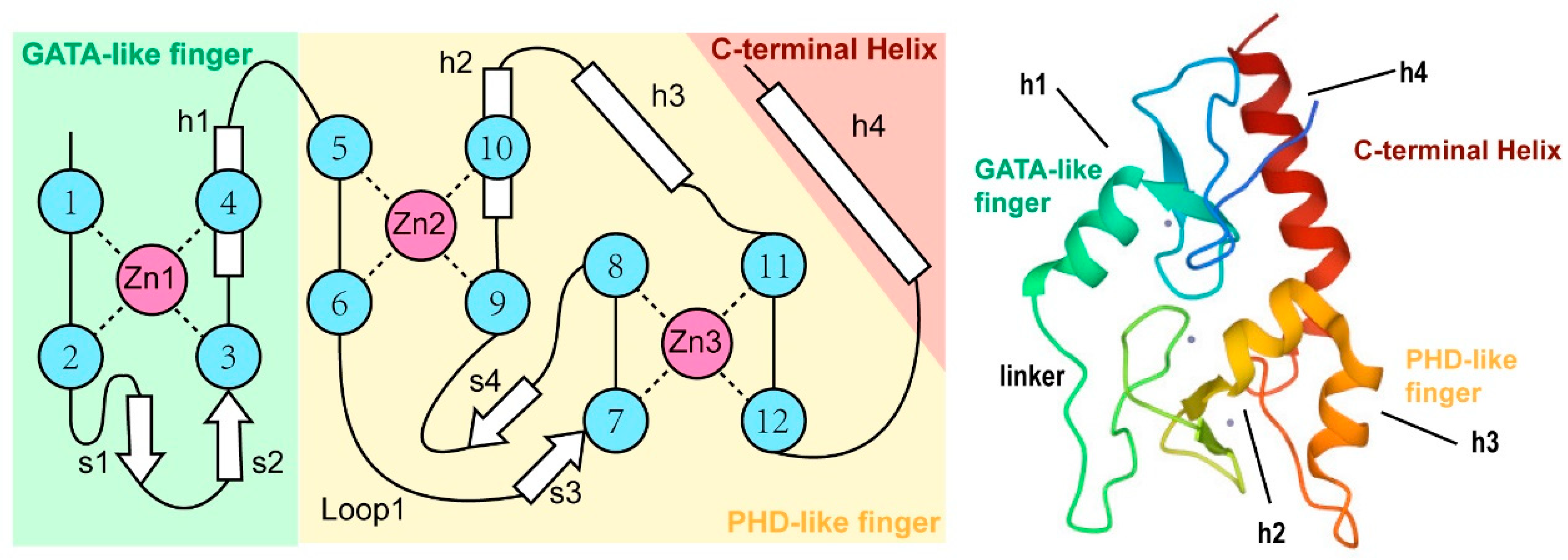 Cancers 15 02228 g001 Cancers 15 02228 g001