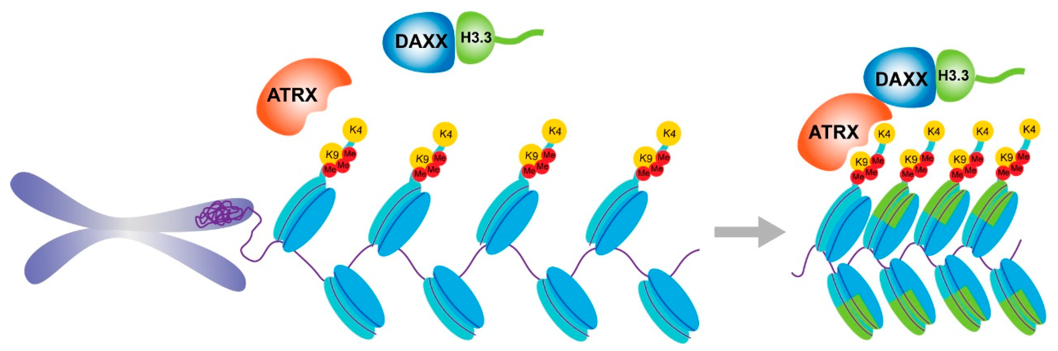 Cancers 15 02228 g002 Cancers 15 02228 g002