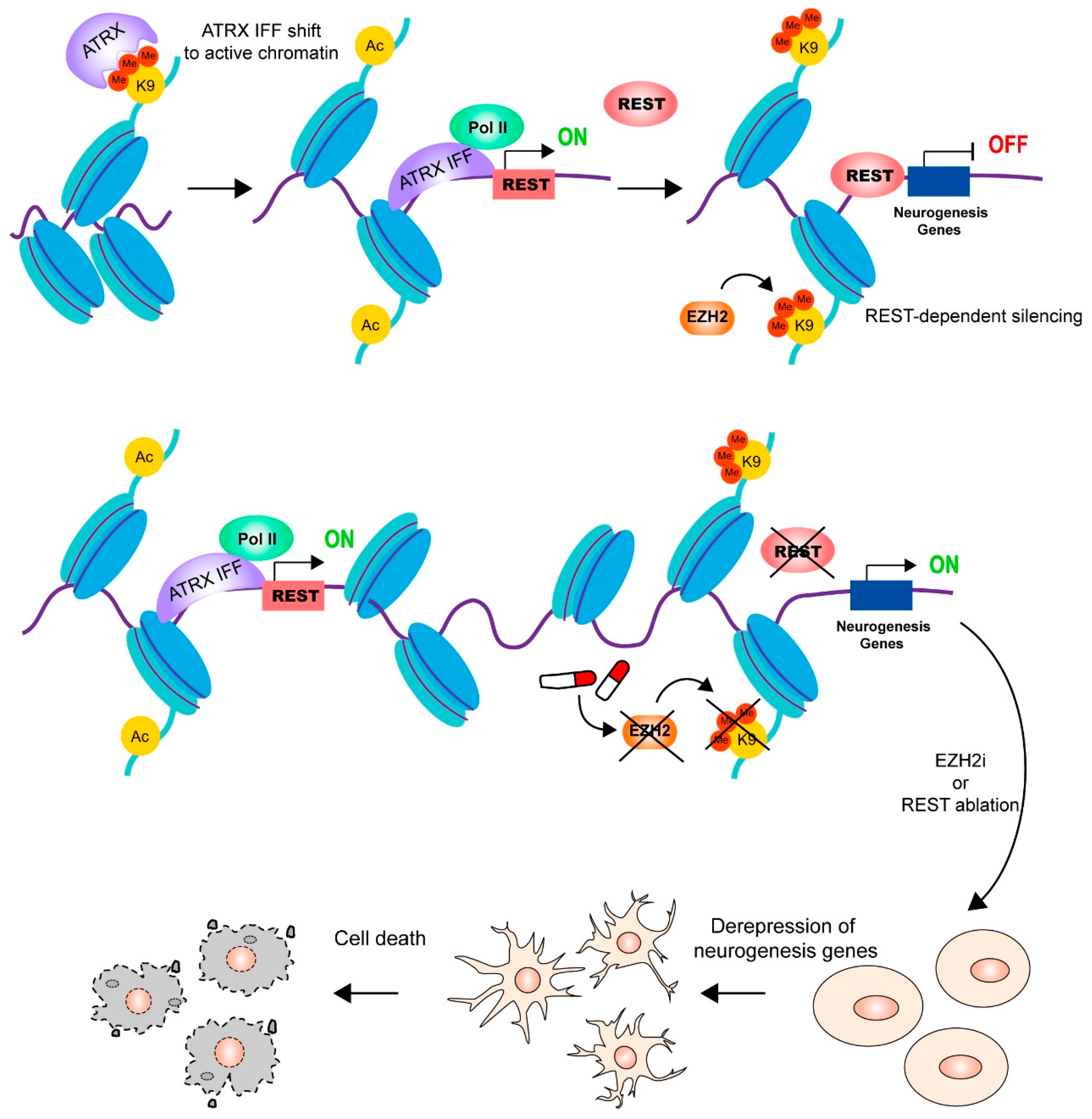 Cancers 15 02228 g007 Cancers 15 02228 g007