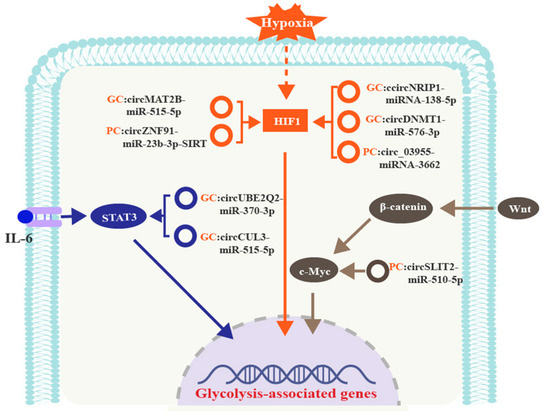 o Live Black Friday Deals | Grey Cat-Eye Glasses #2033612 | Zenni