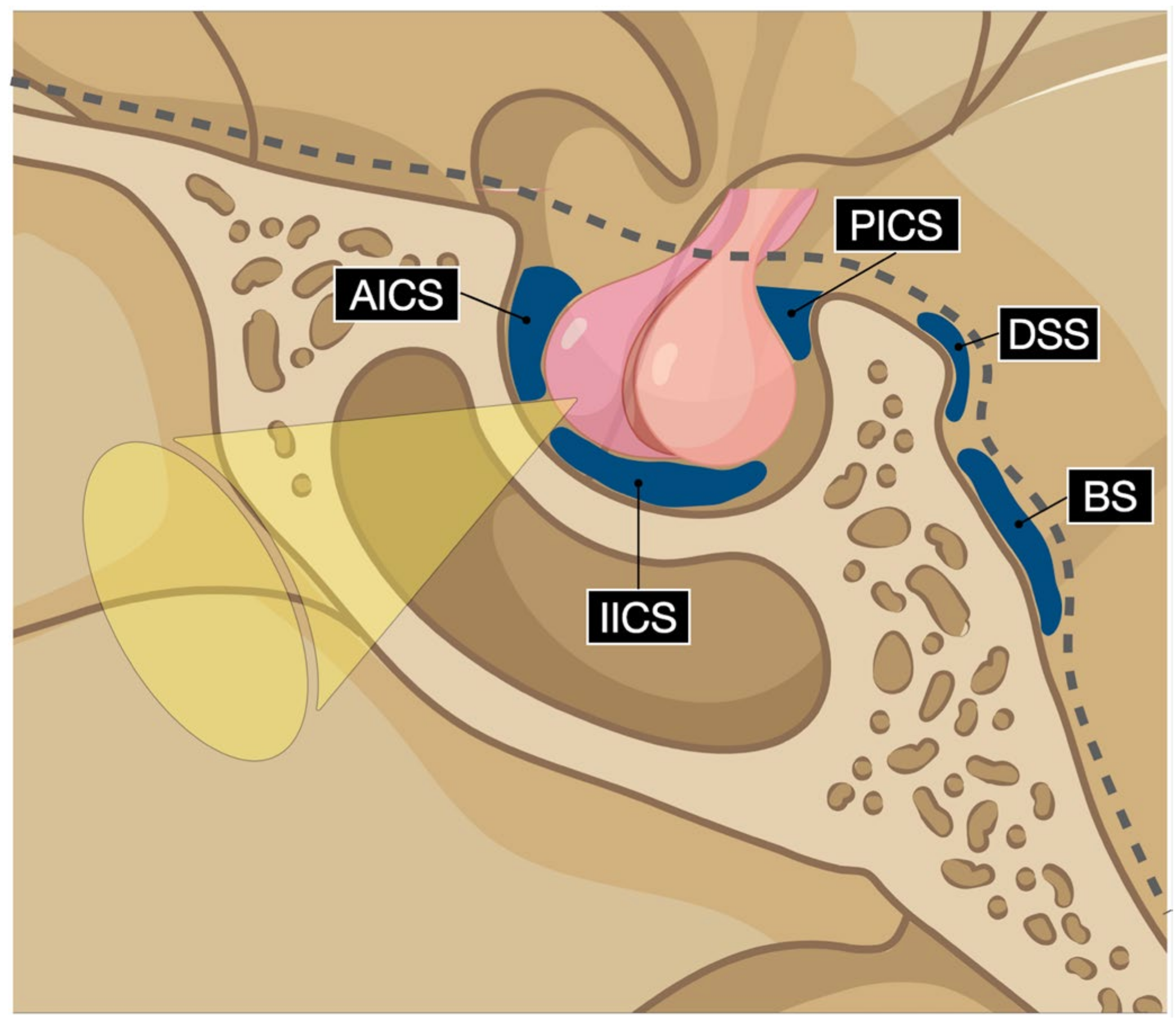 Cancers 15 02235 g002 Cancers 15 02235 g002