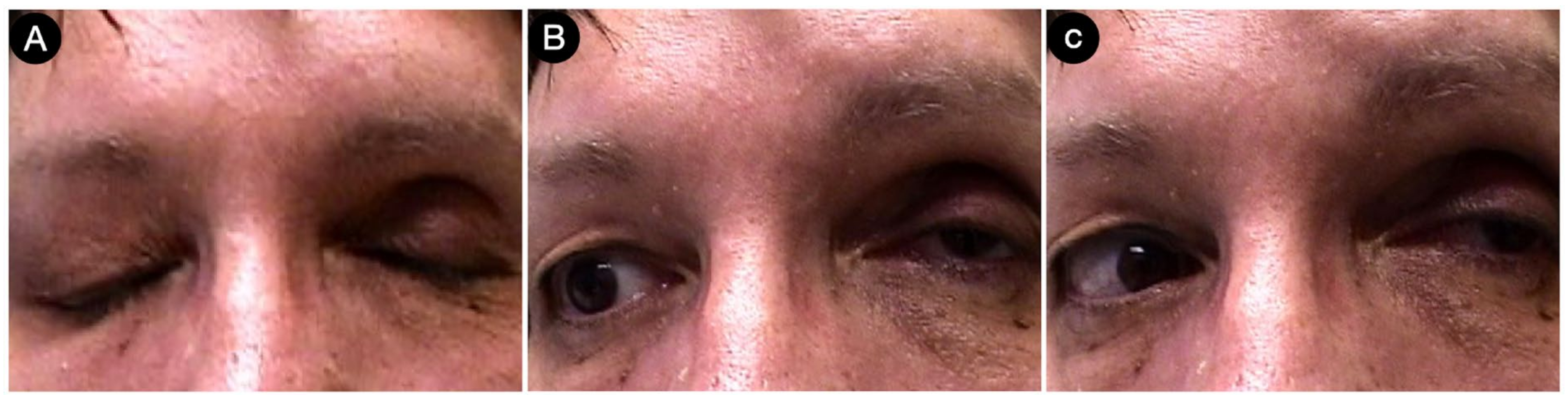 Cancers 15 02235 g018 Cancers 15 02235 g018