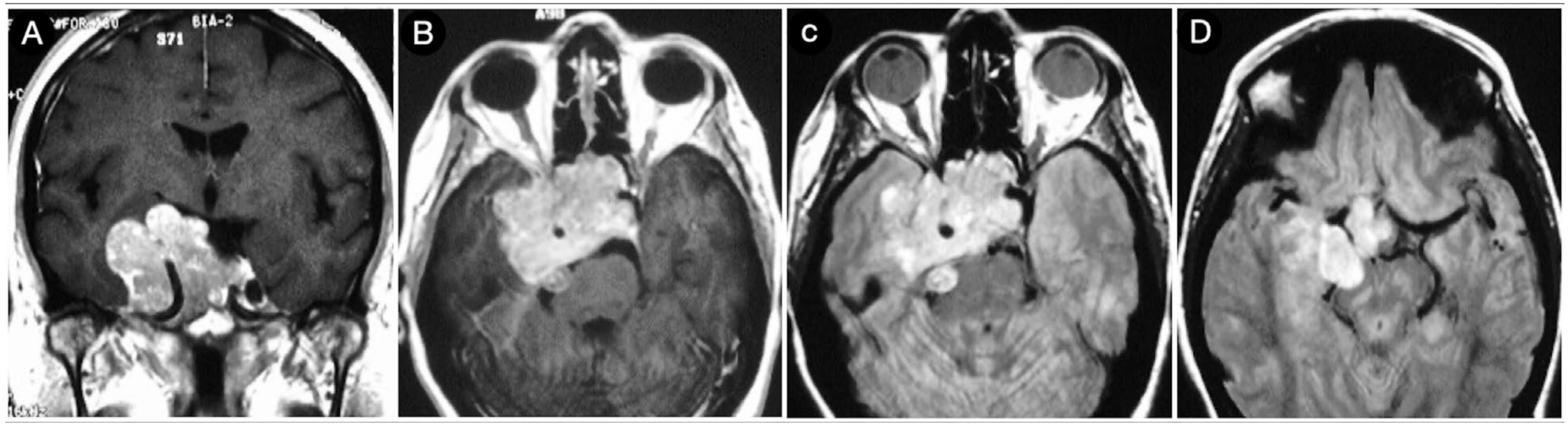 Cancers 15 02235 g019 Cancers 15 02235 g019